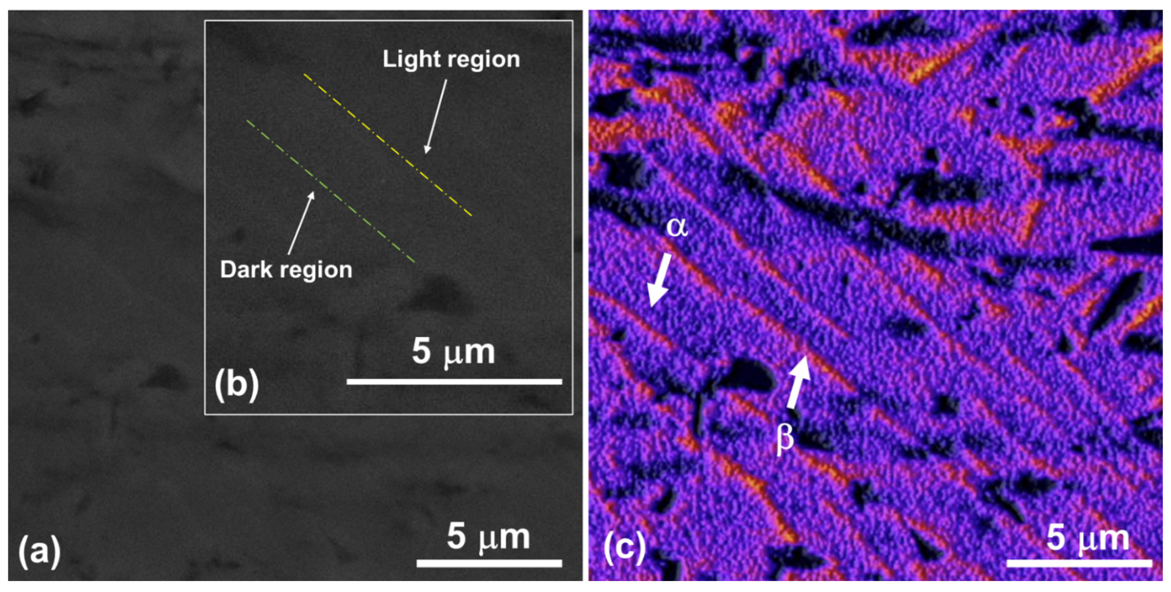 Materials 18 01593 g002