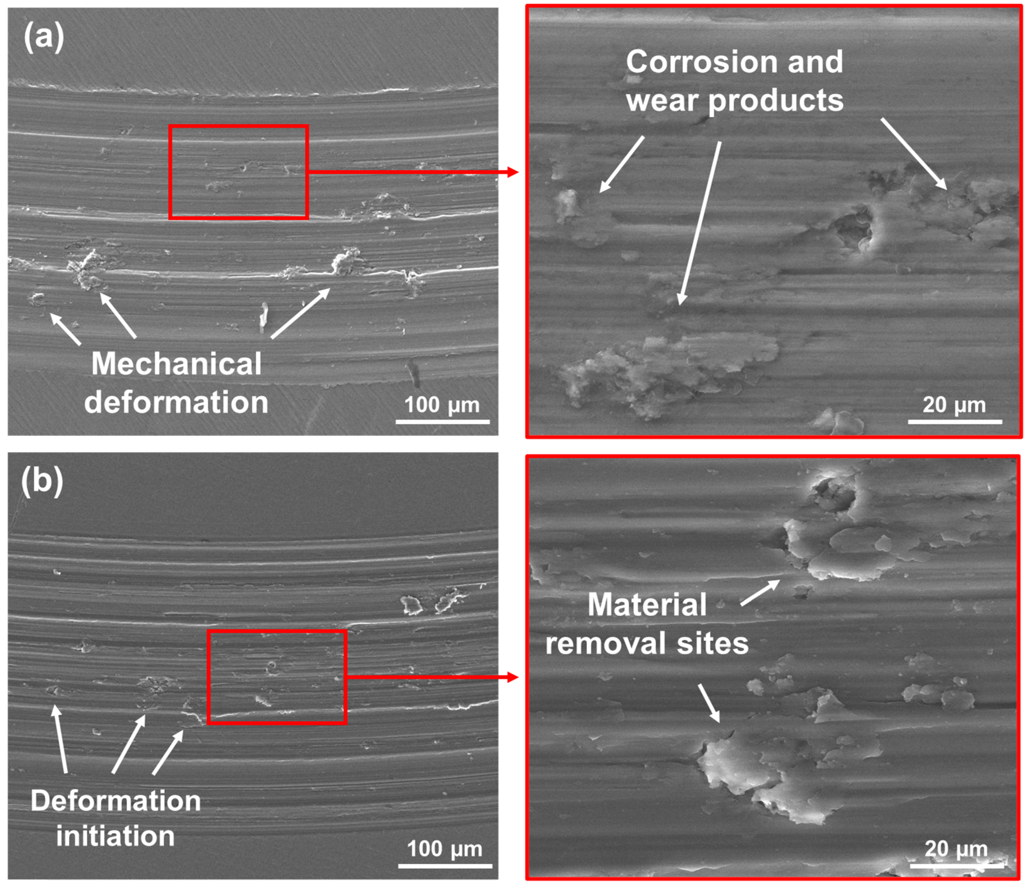 Materials 18 01593 g010