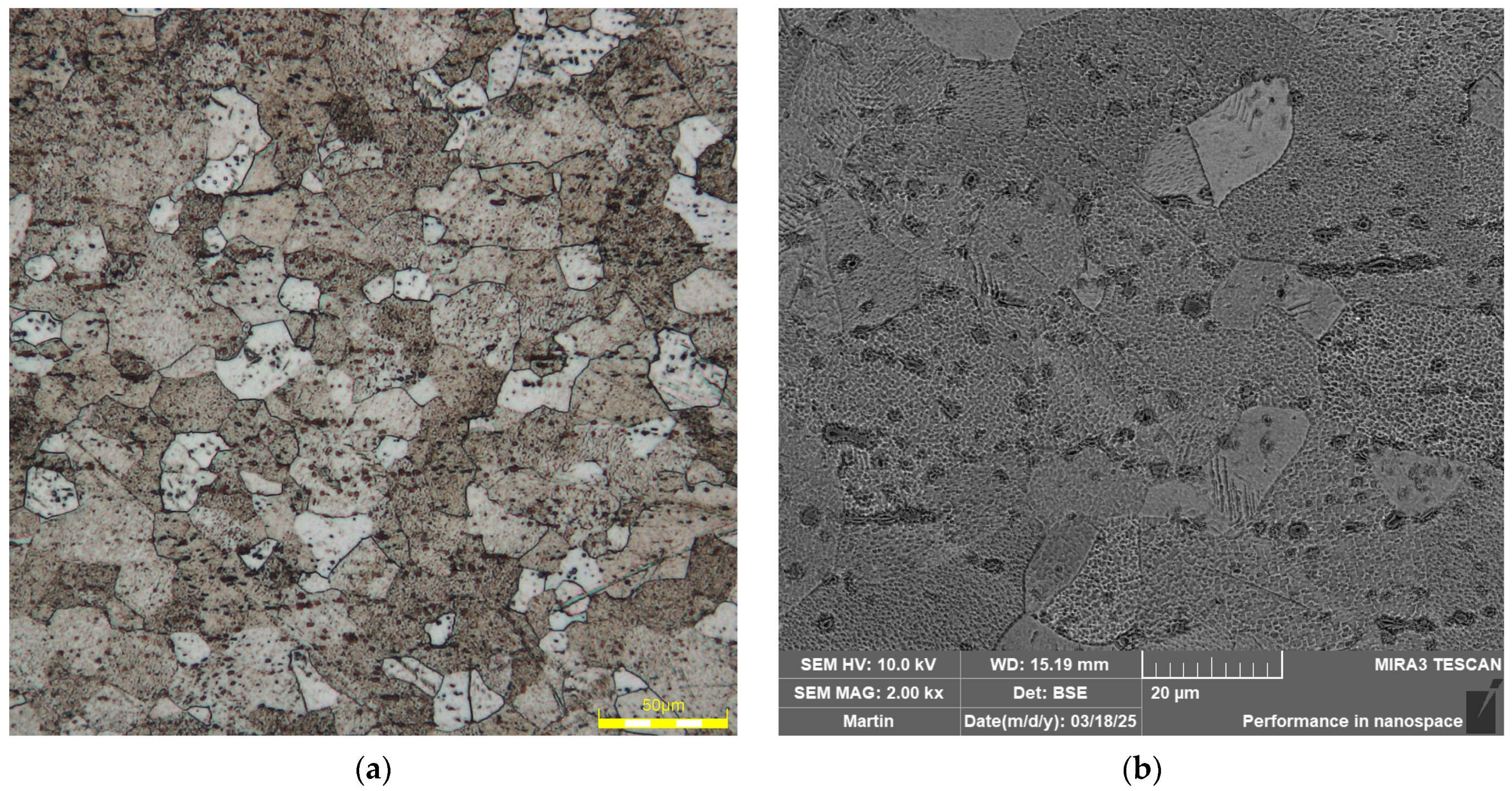 Materials 18 01598 g018