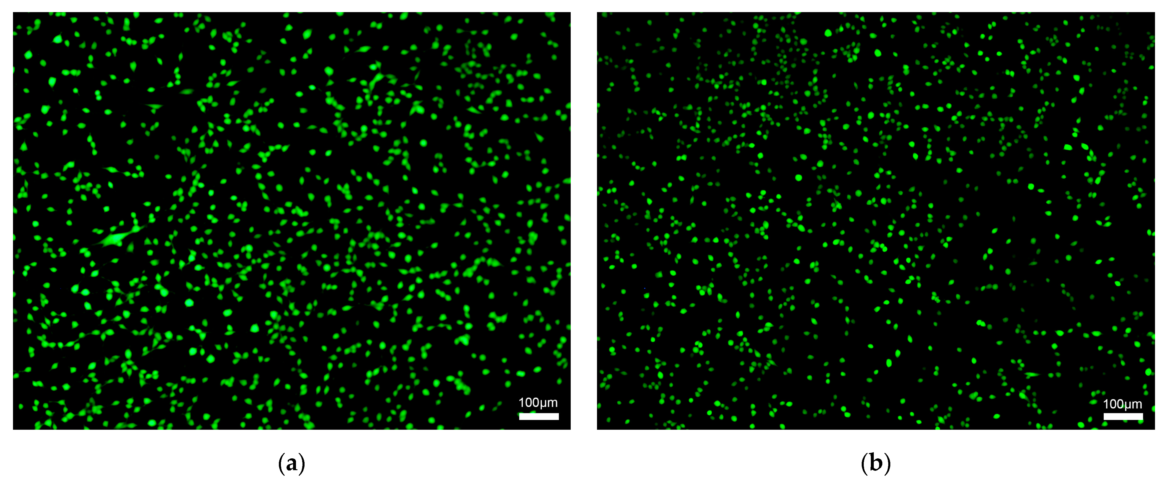 Materials 18 01614 g005a