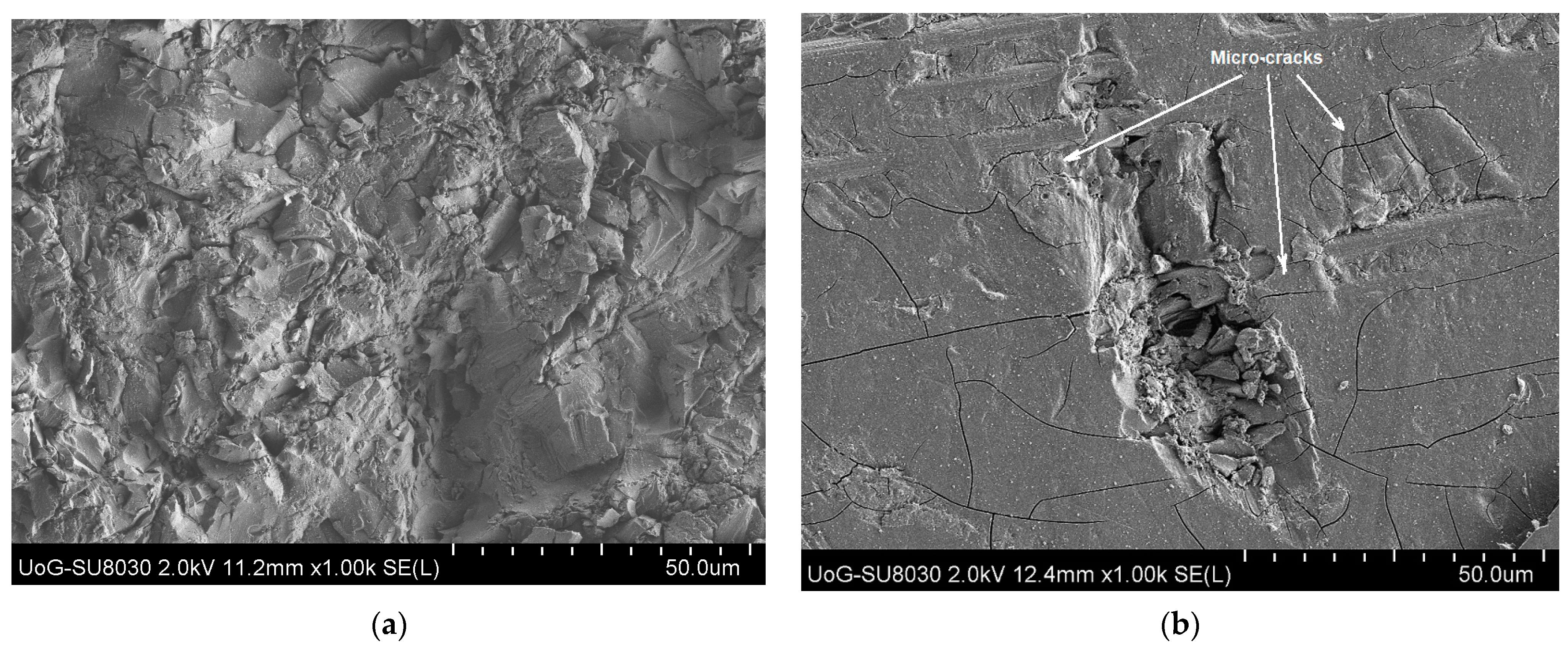 Materials 18 01615 g002