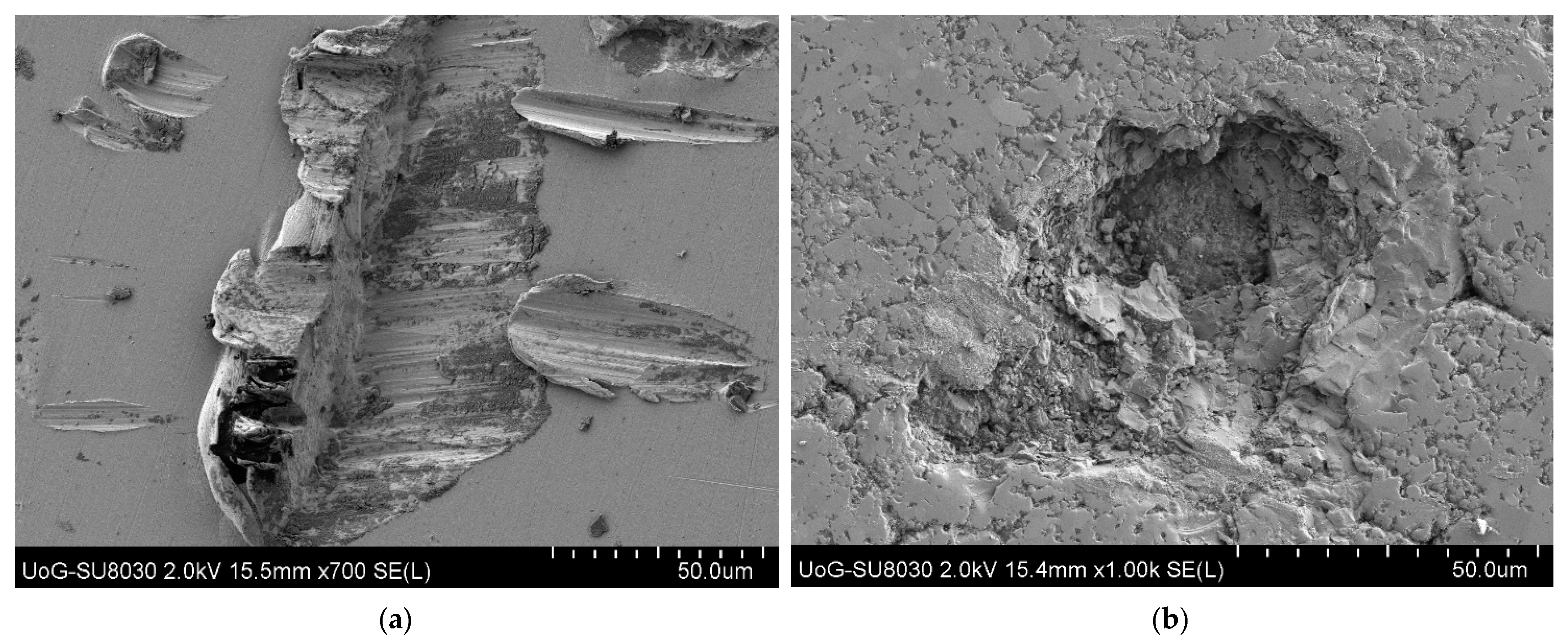 Materials 18 01615 g004