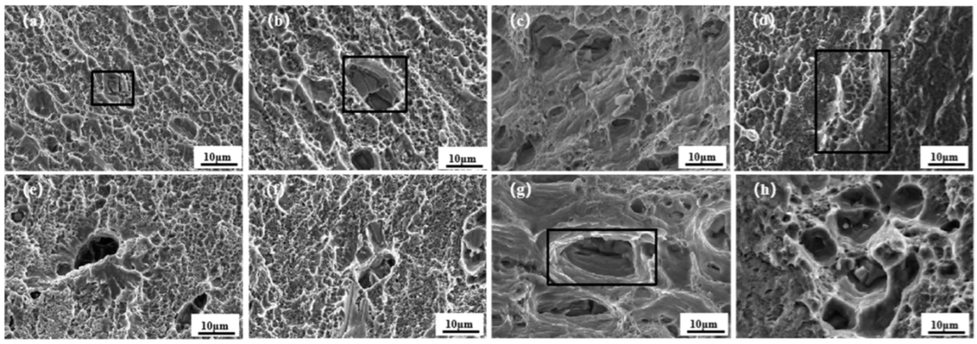 Materials 18 01621 g015