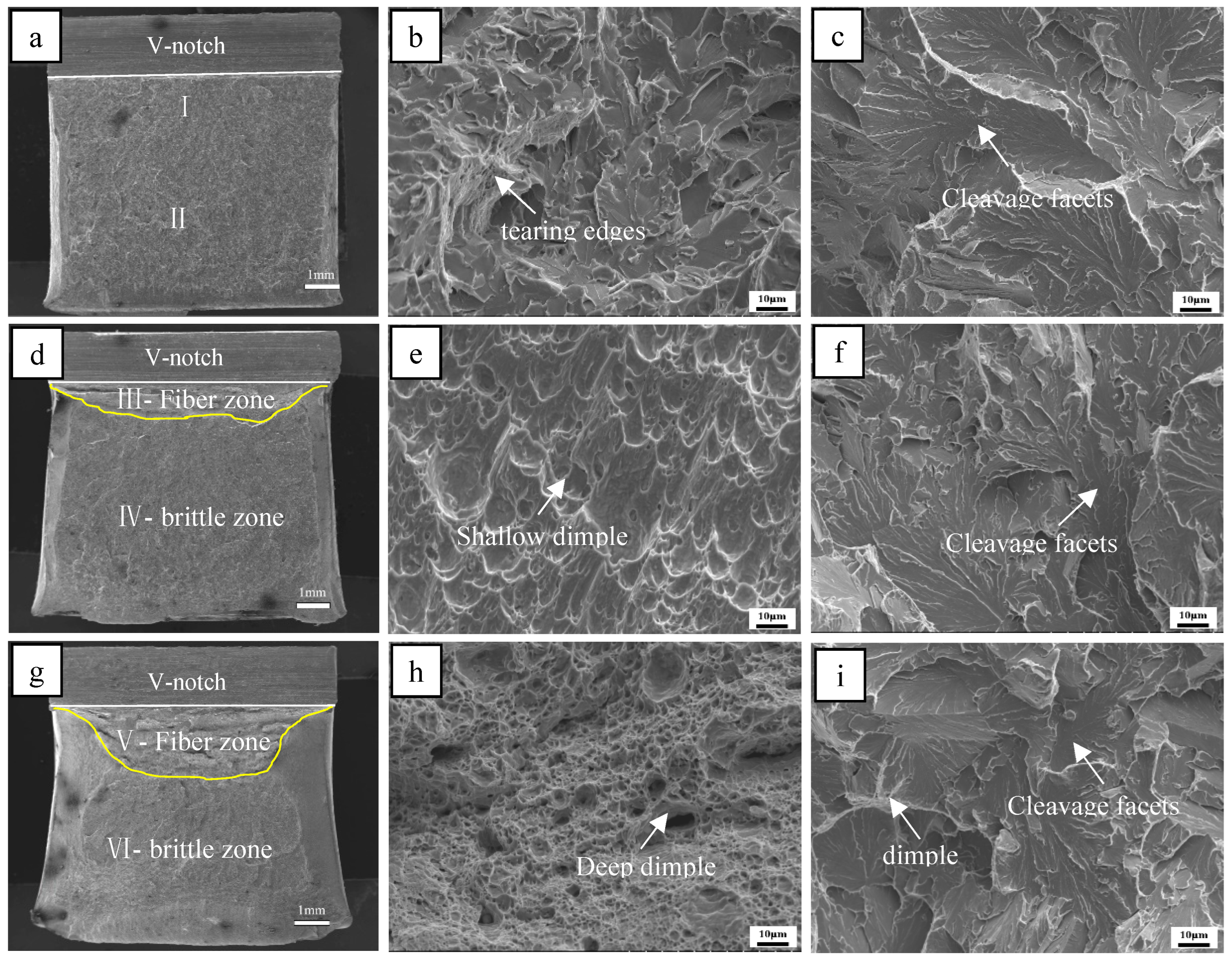 Materials 18 01667 g008