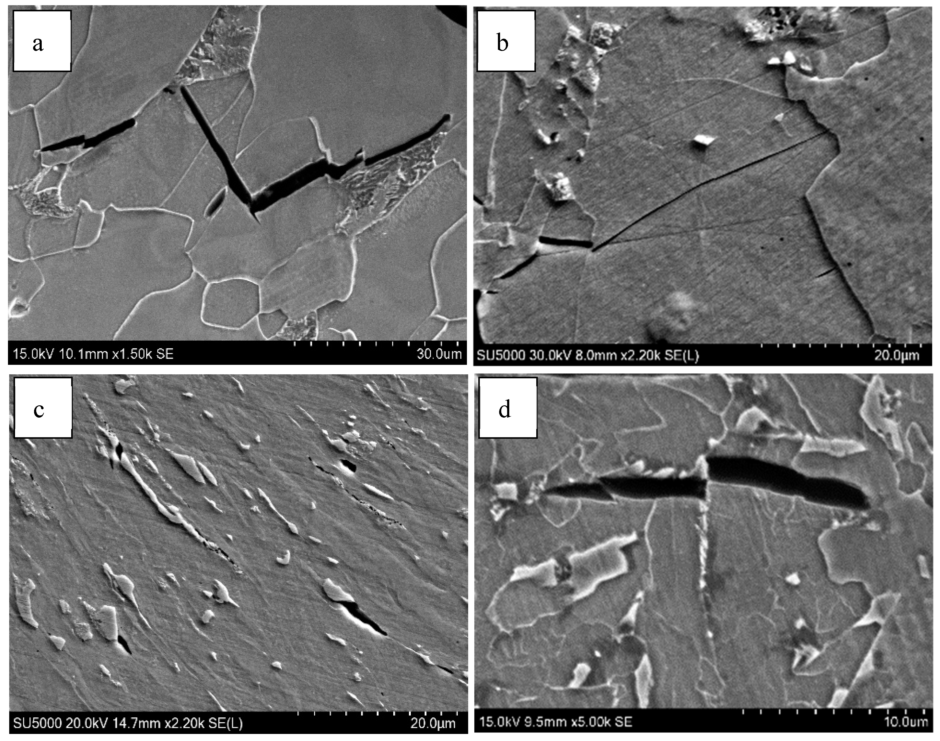 Materials 18 01667 g013