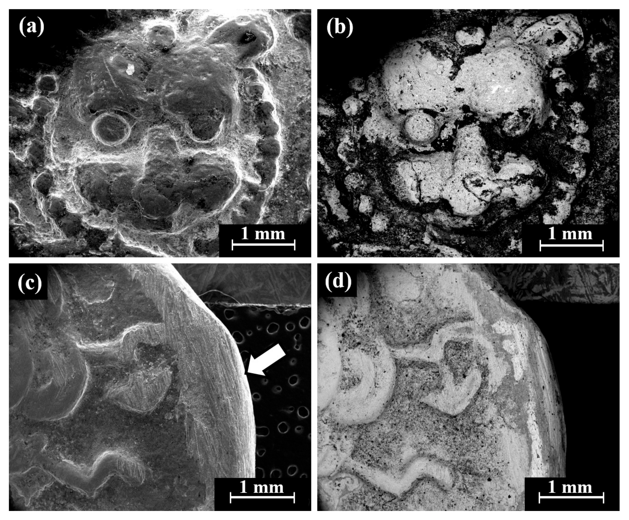 Materials 18 01678 g004