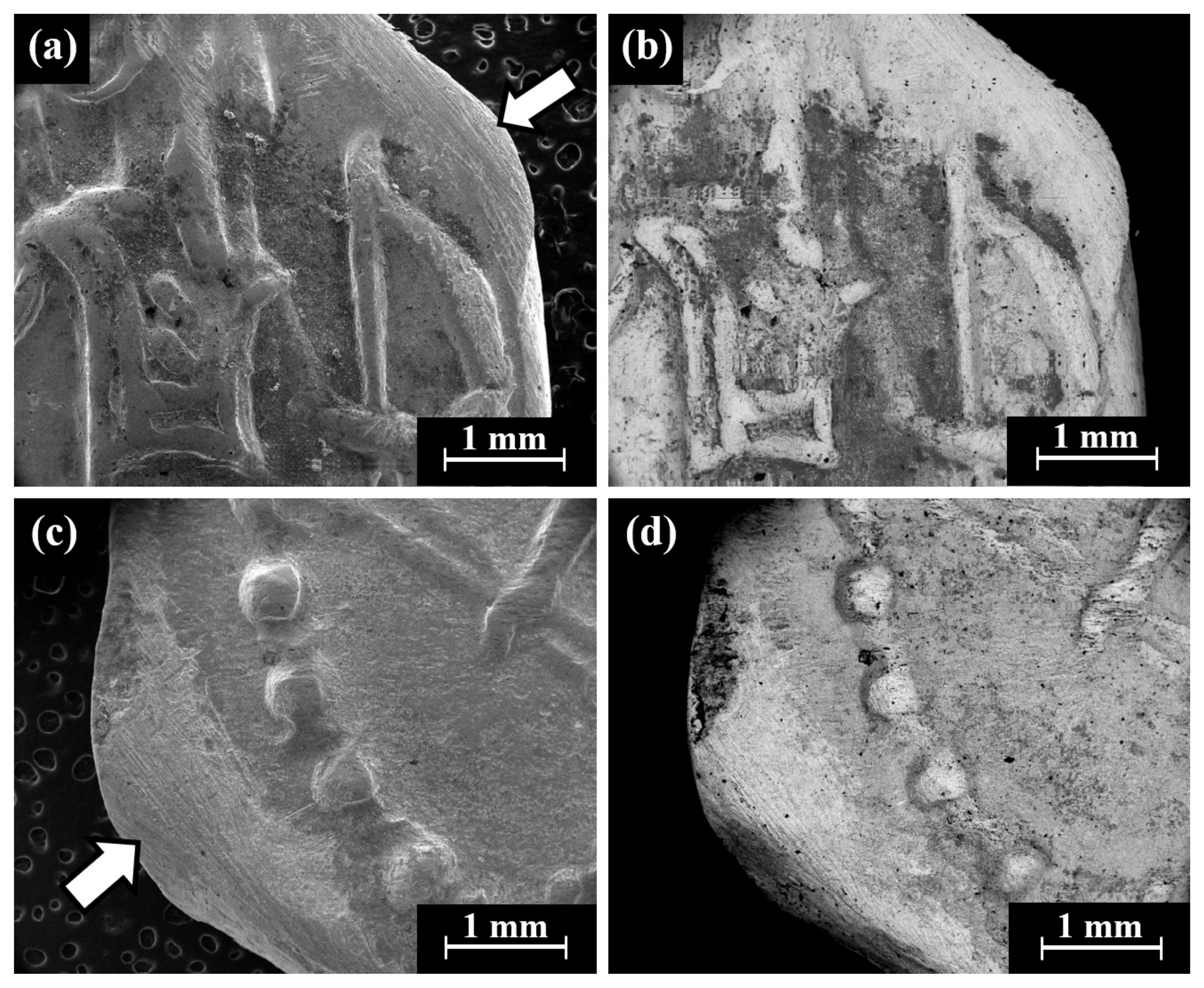 Materials 18 01678 g007