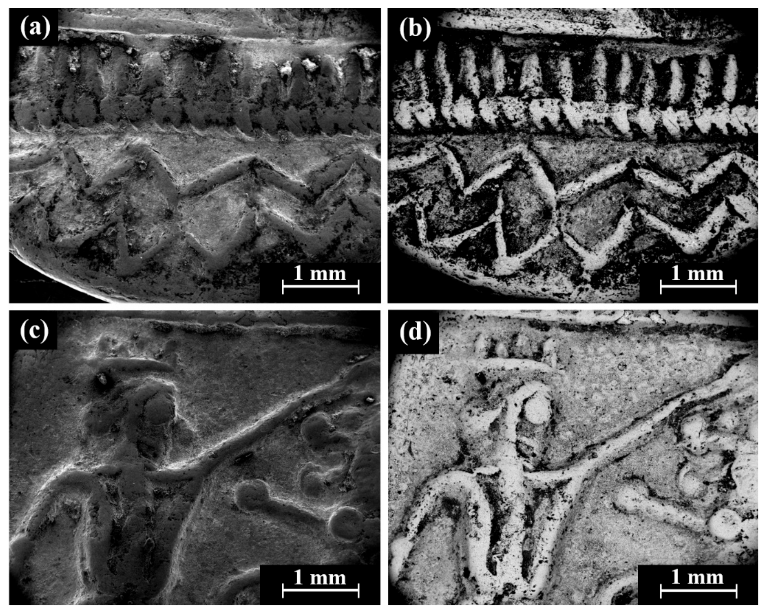 Materials 18 01678 g008