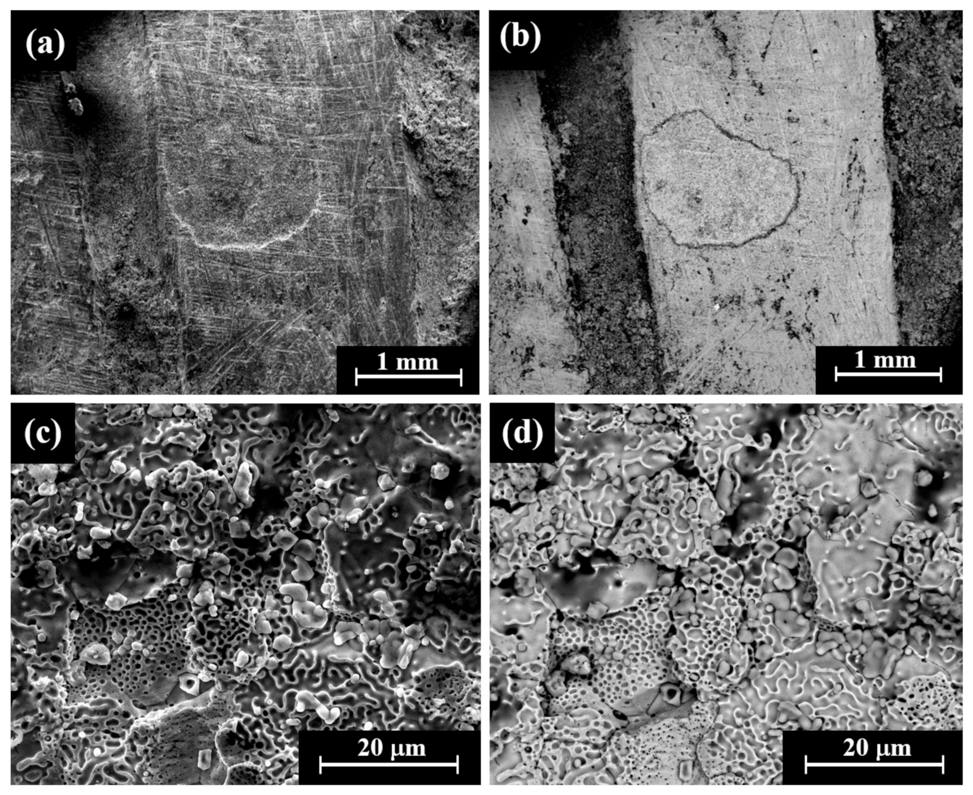 Materials 18 01678 g009