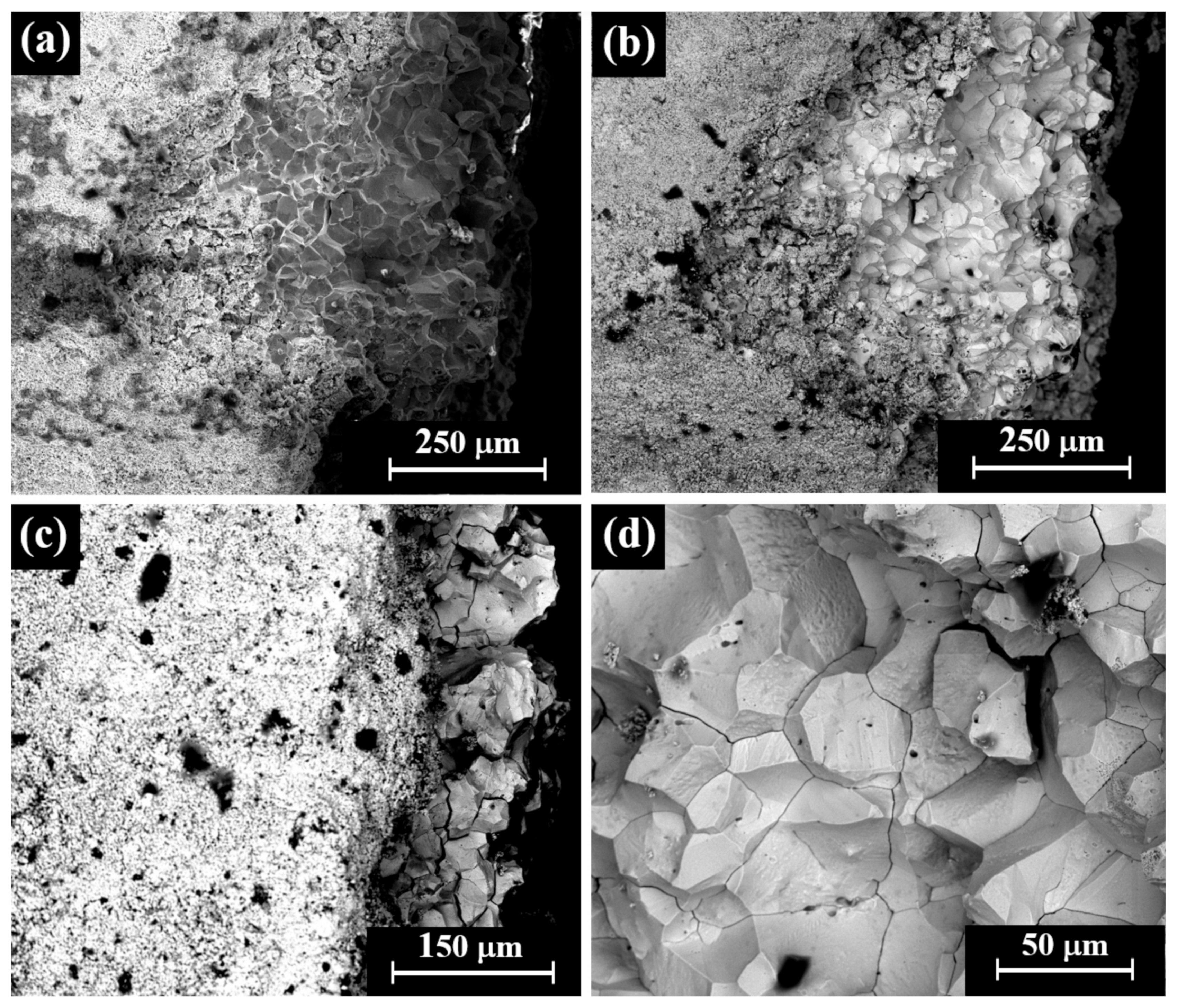 Materials 18 01678 g010