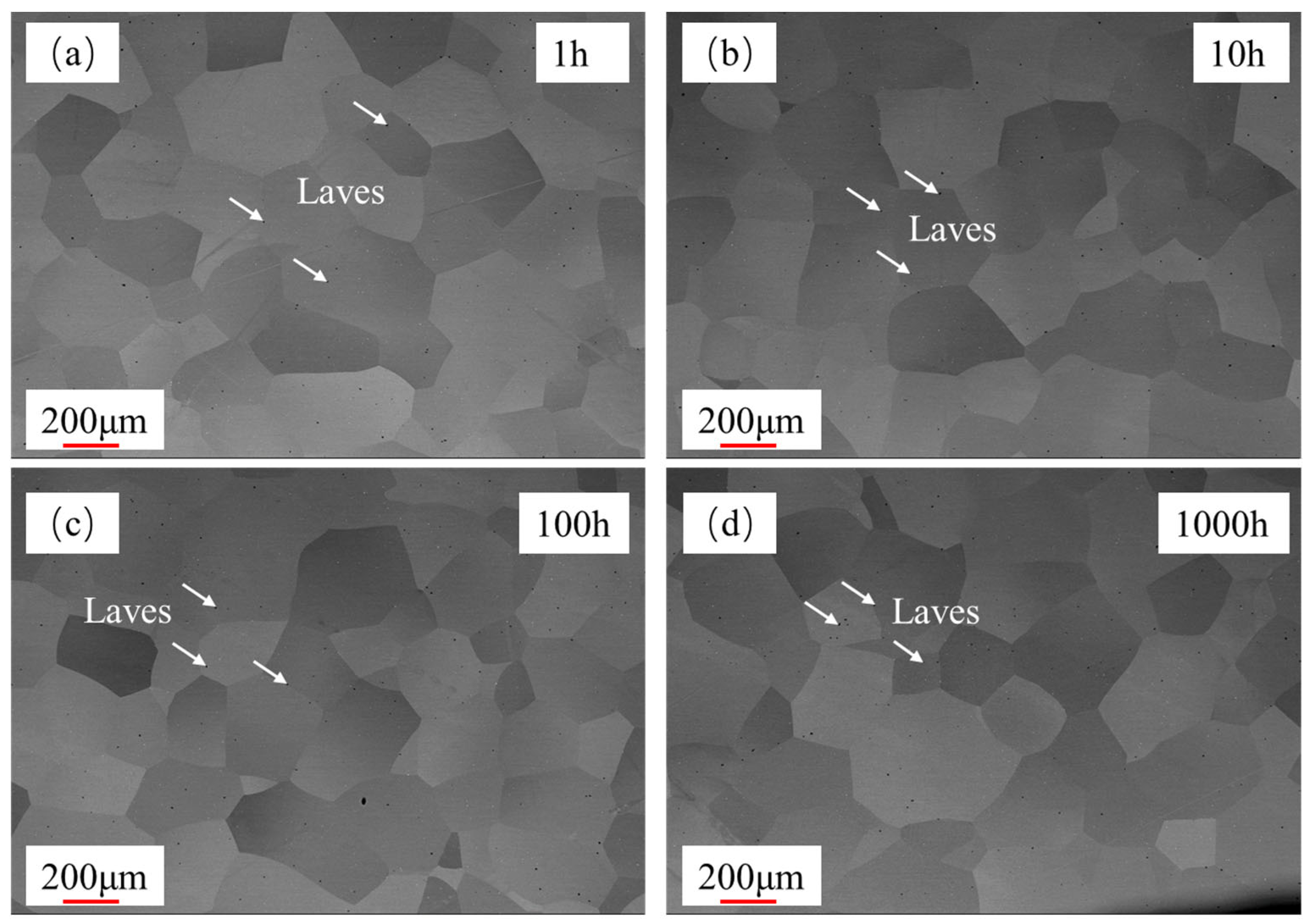 Materials 18 01684 g005