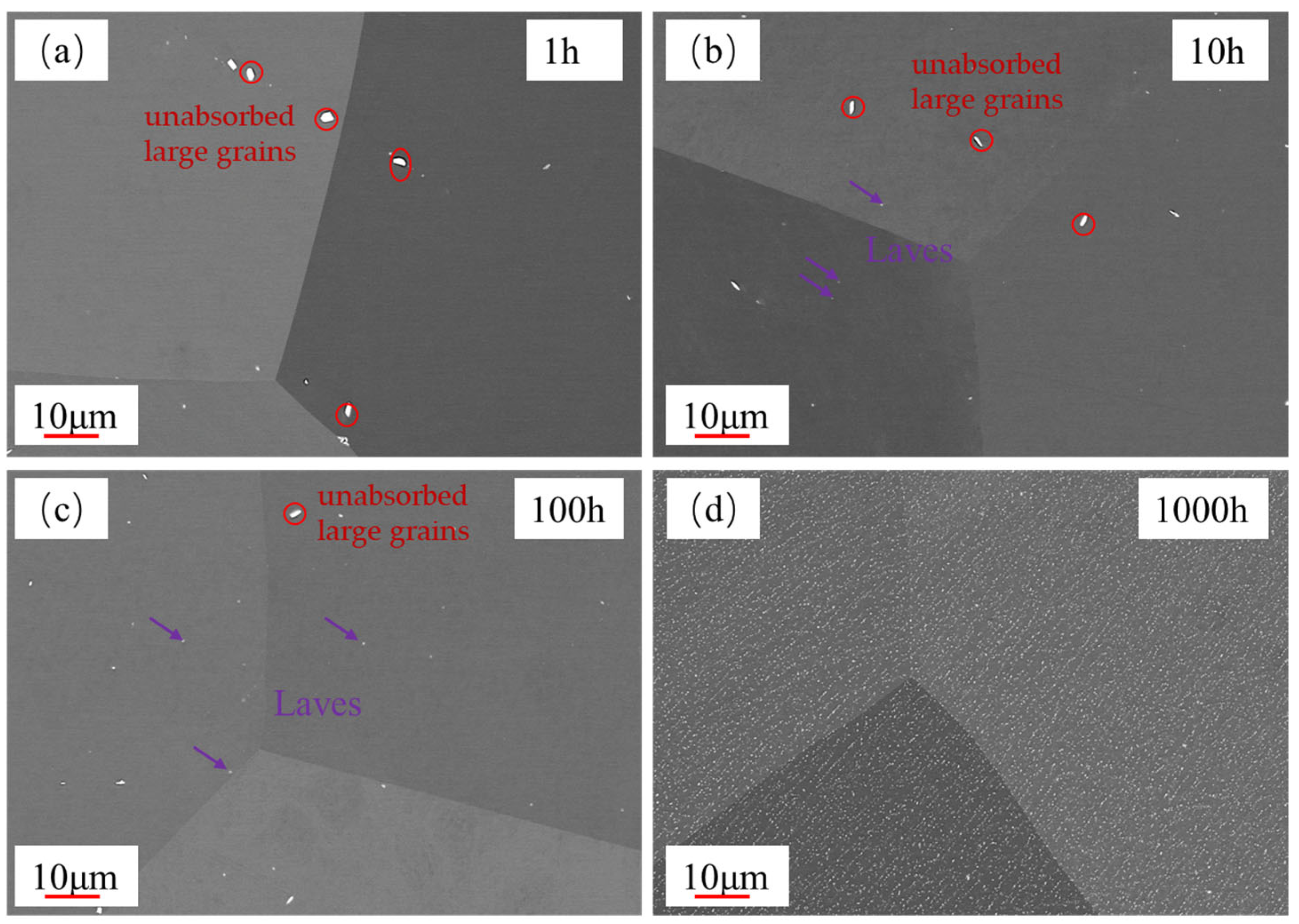 Materials 18 01684 g008