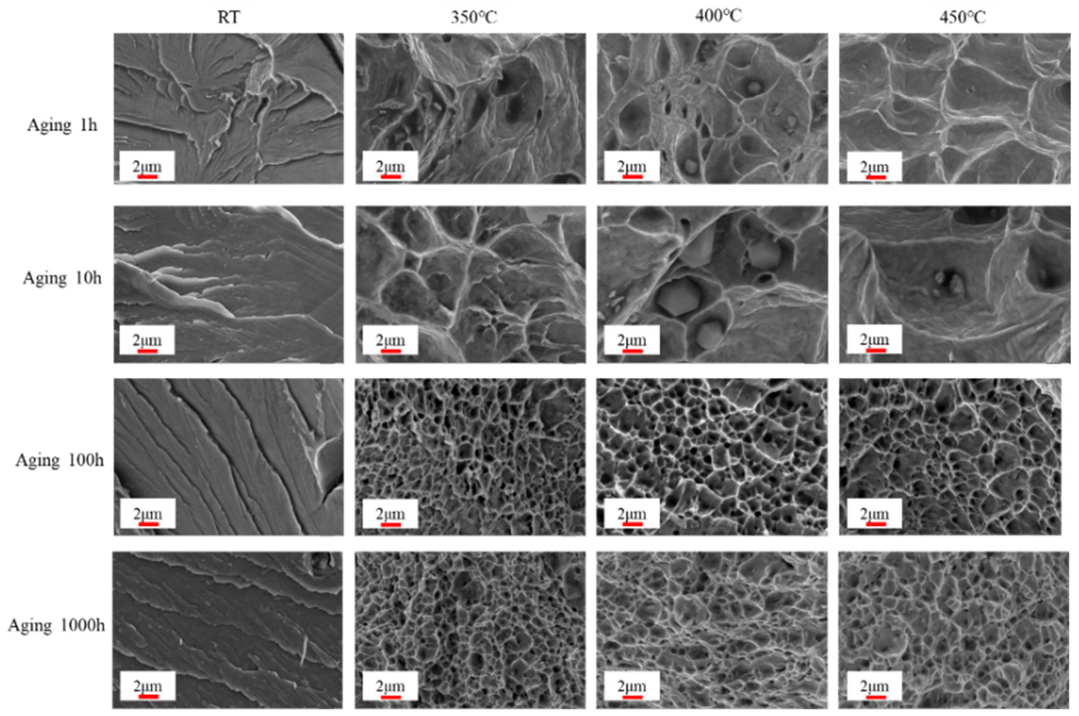 Materials 18 01684 g014