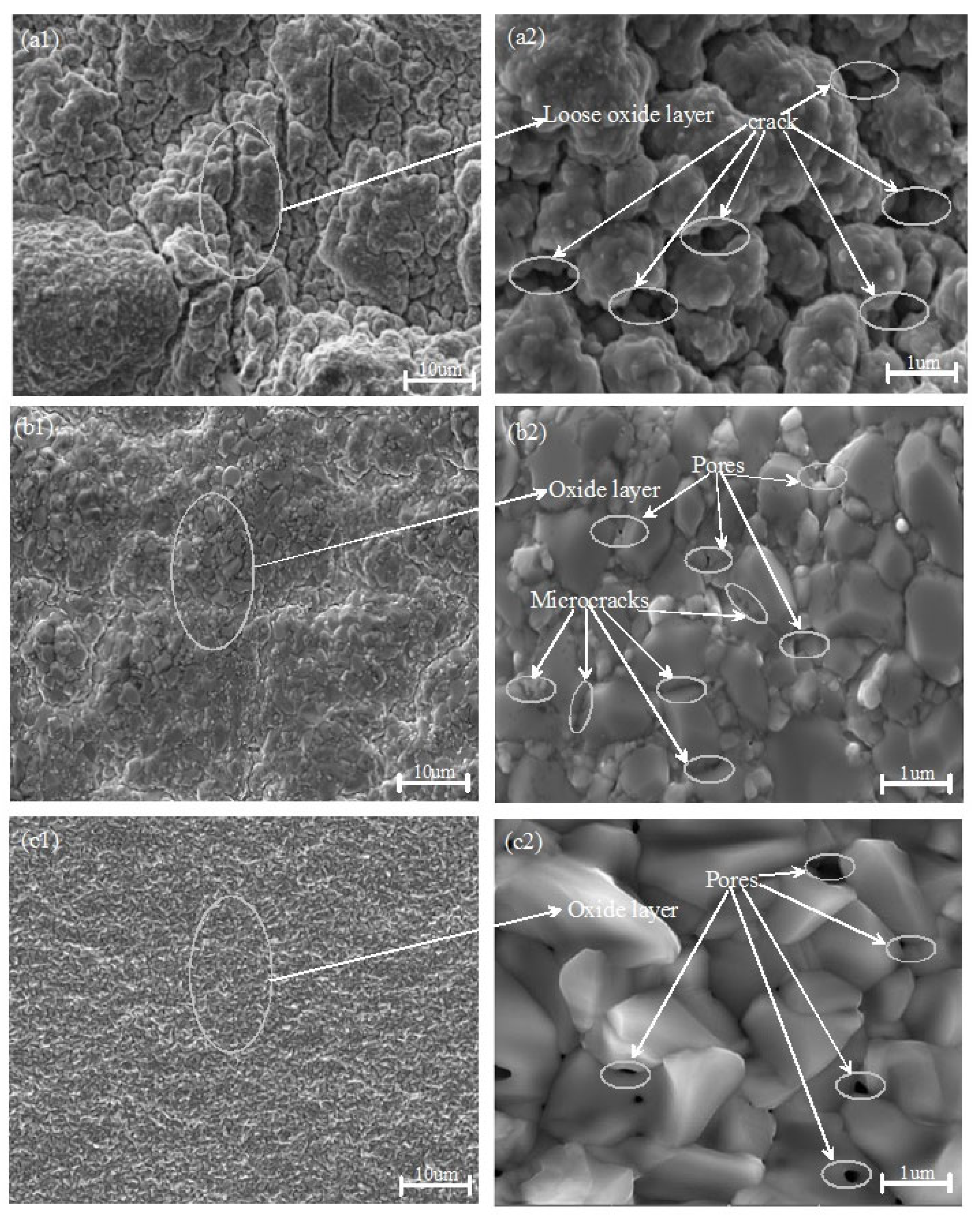 Materials 18 01692 g003