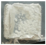 Materials 18 01692 i007