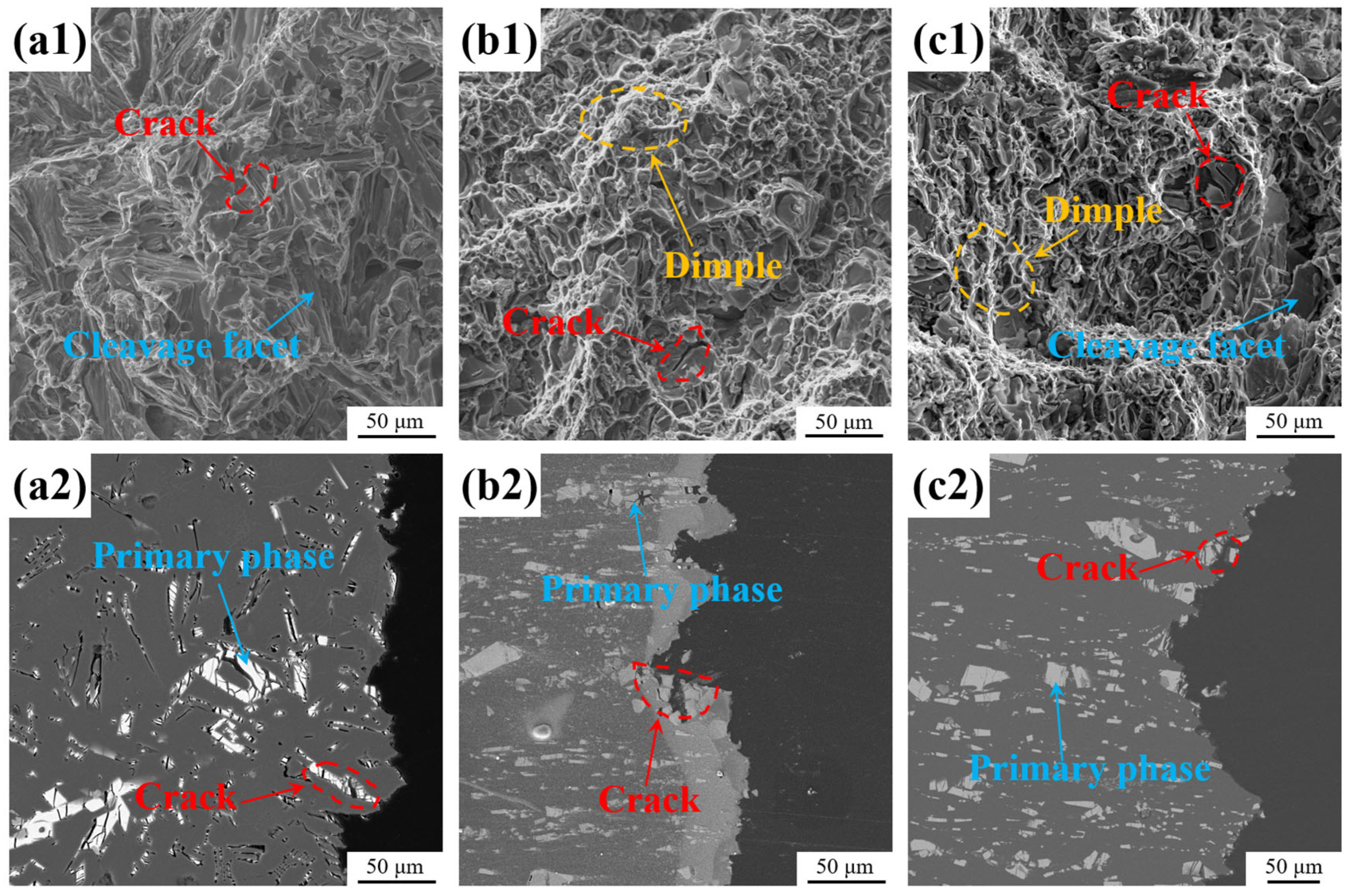 Materials 18 01706 g010