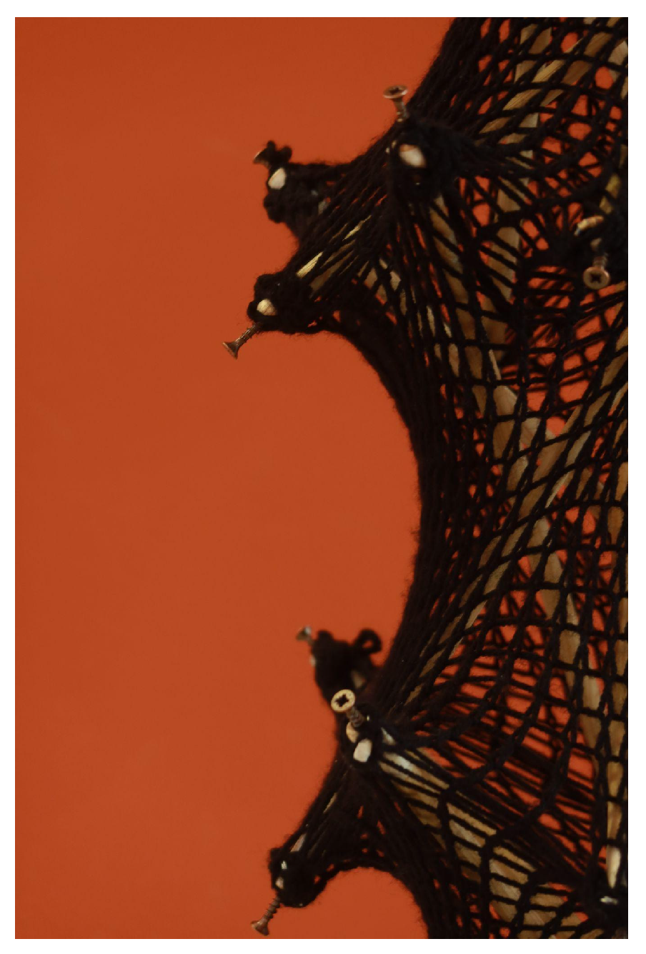 Materials 18 01721 g021