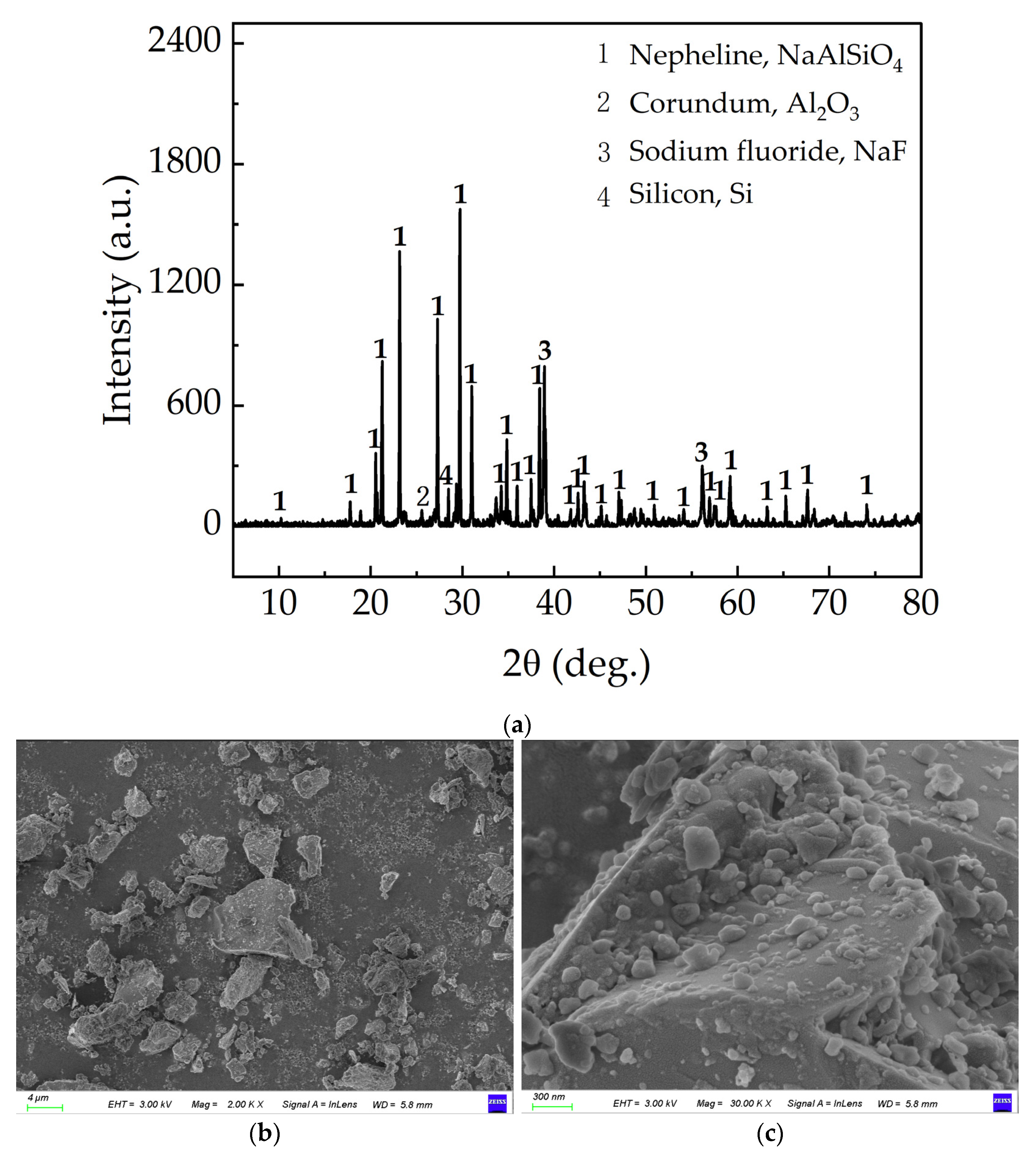 Materials 18 01748 g001