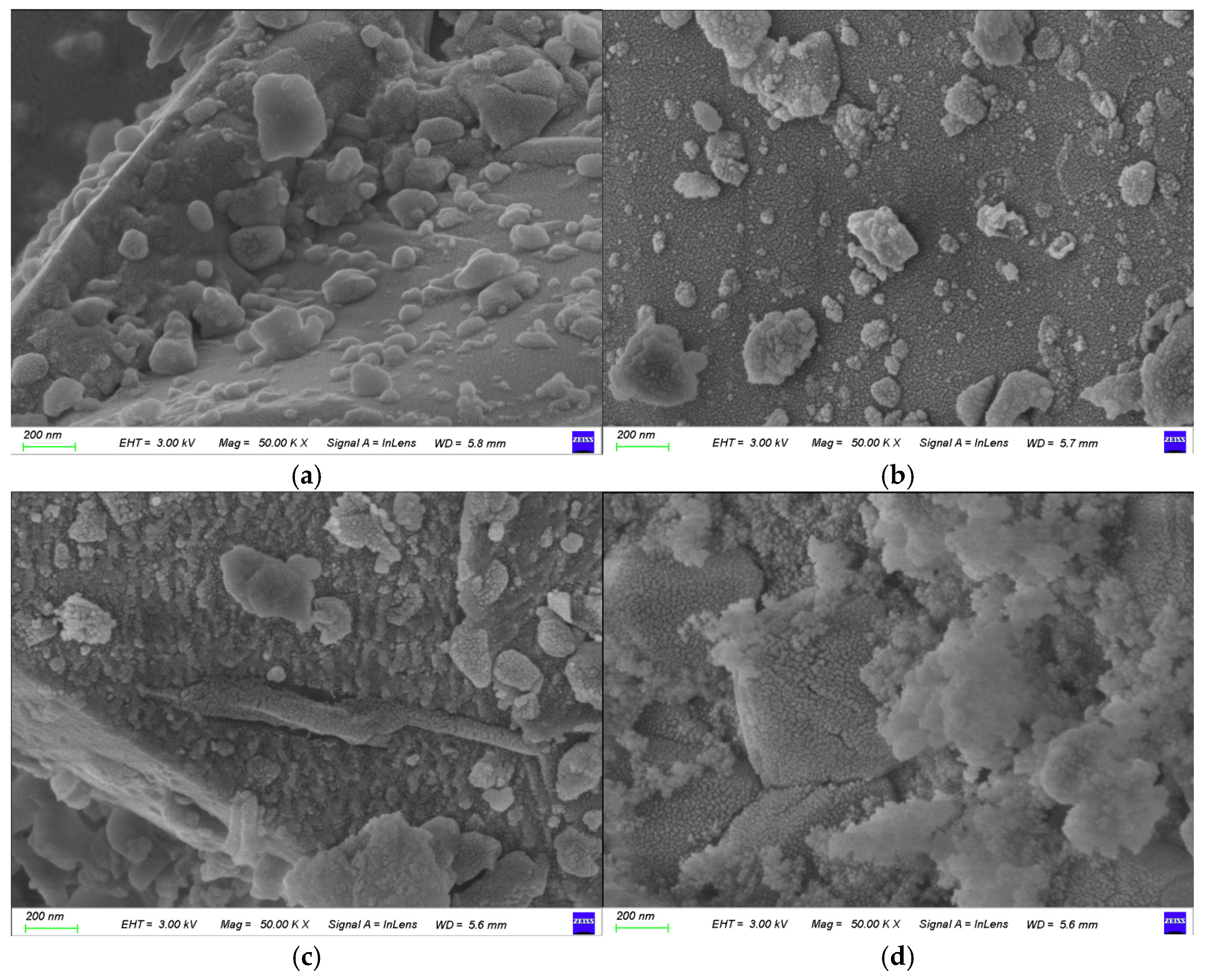 Materials 18 01748 g008