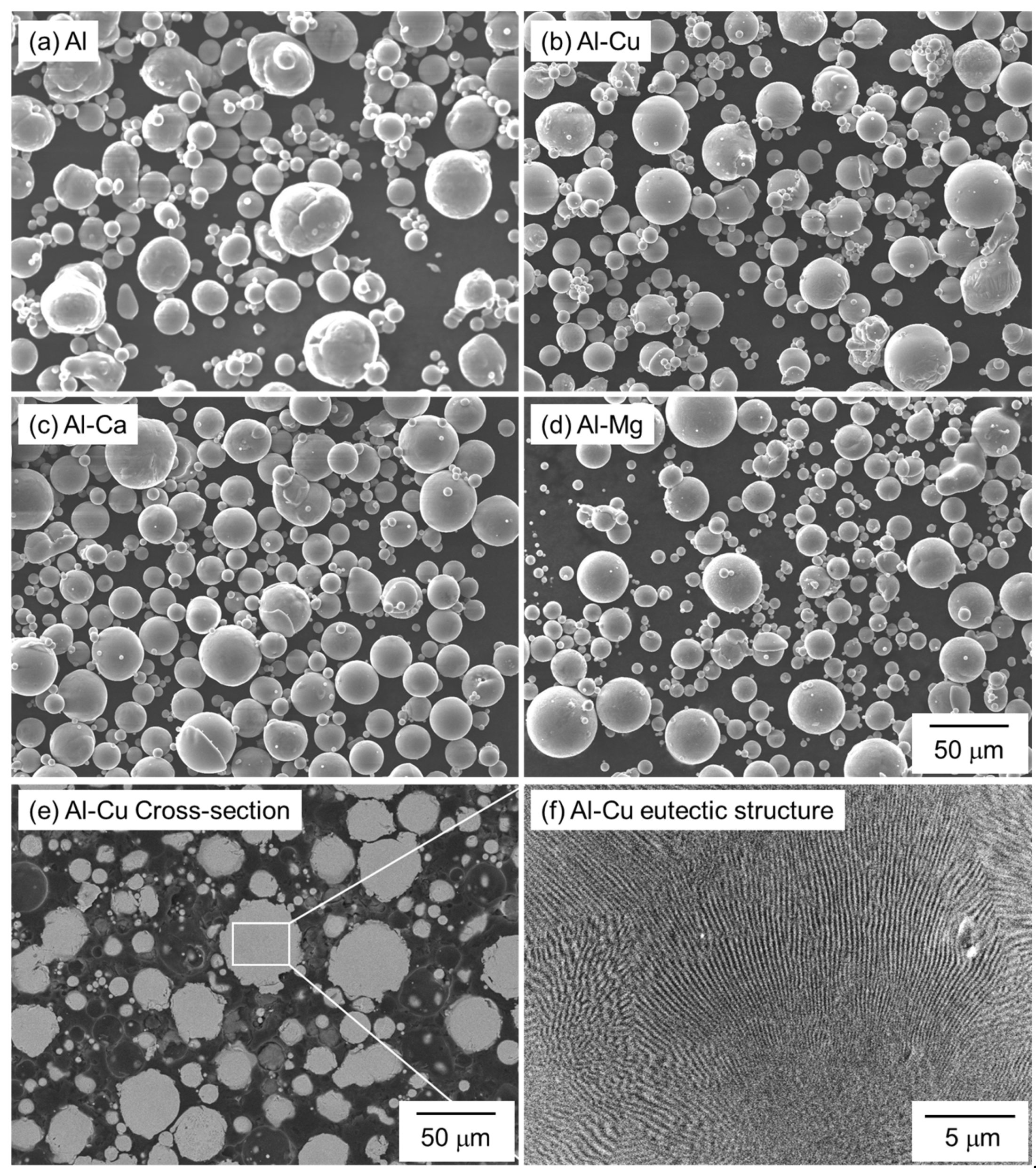 Materials 18 01755 g002