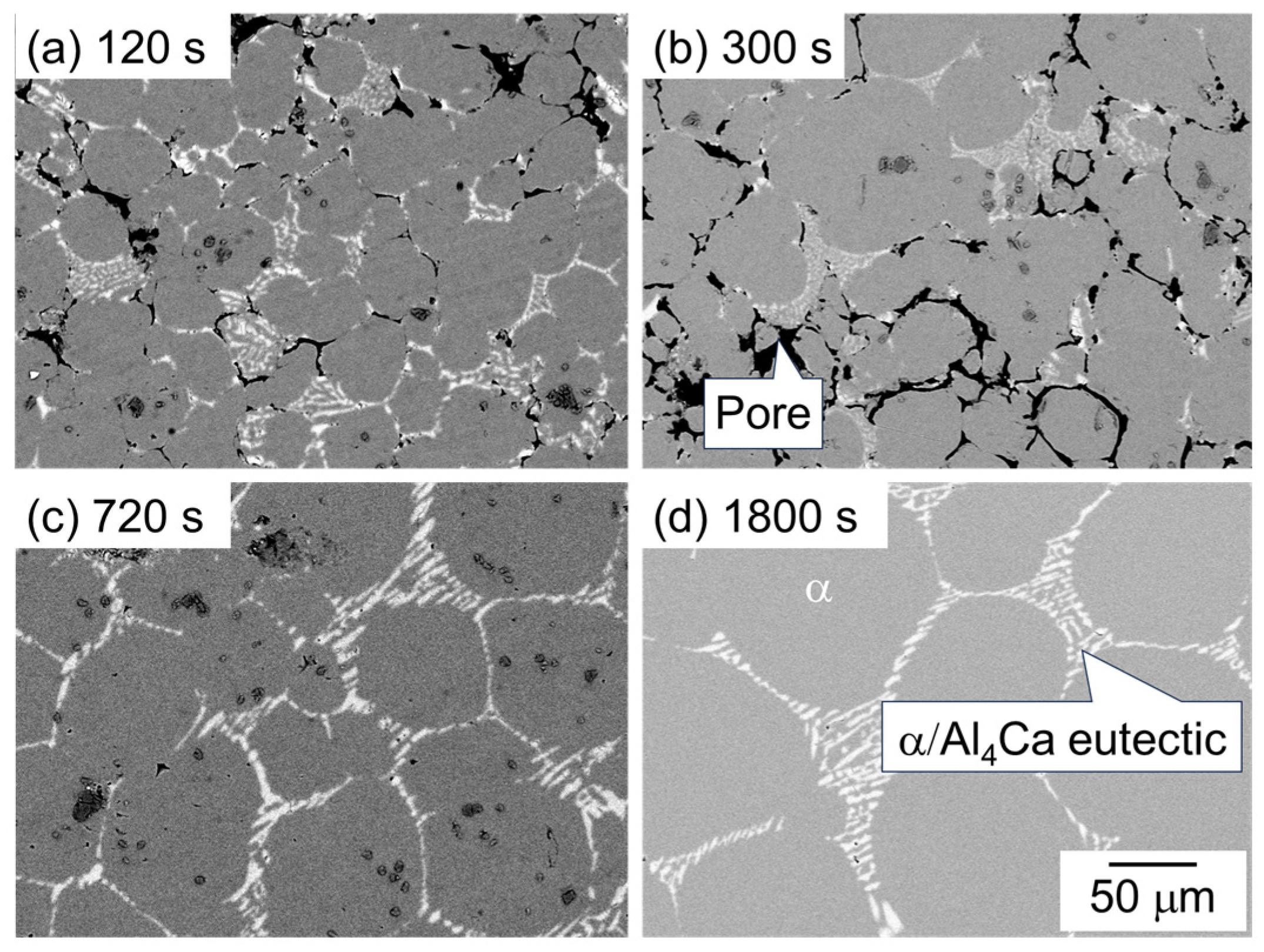 Materials 18 01755 g006