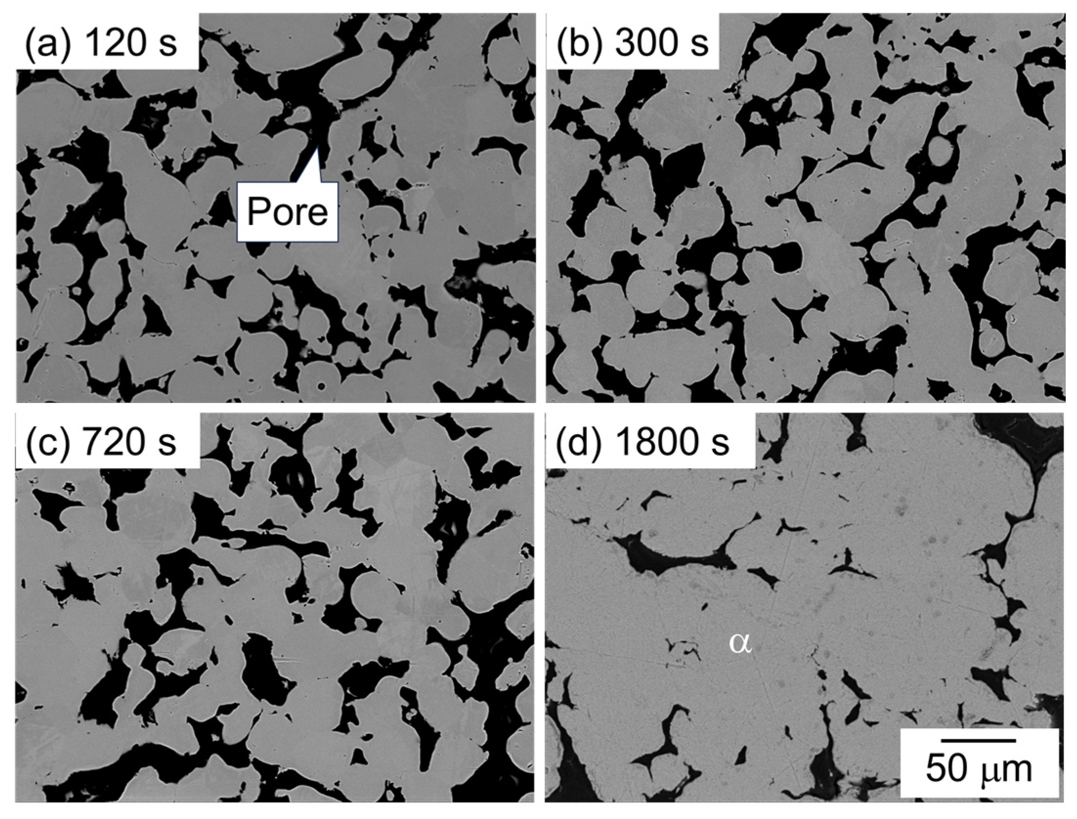 Materials 18 01755 g007