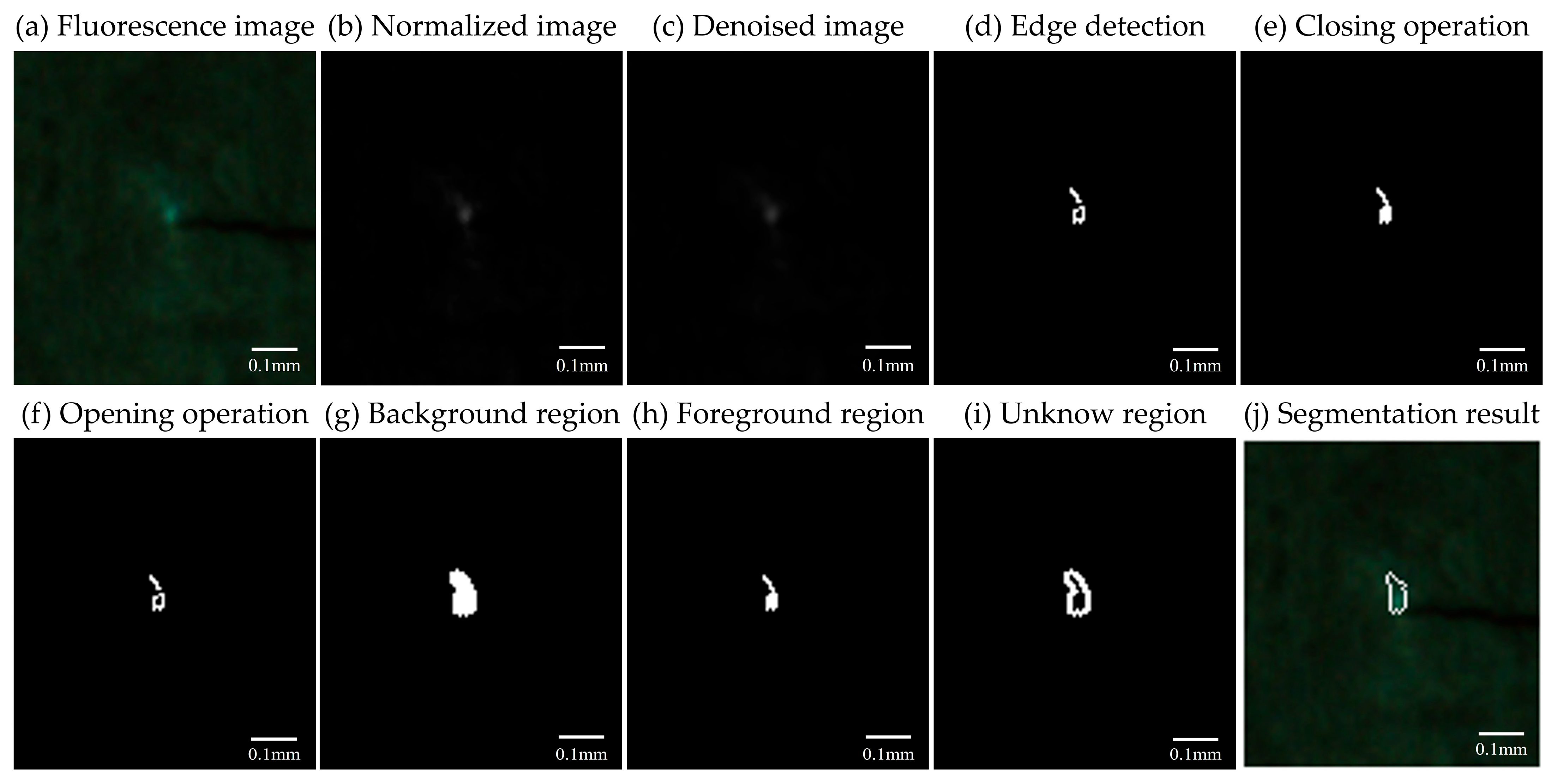 Materials 18 01810 g003