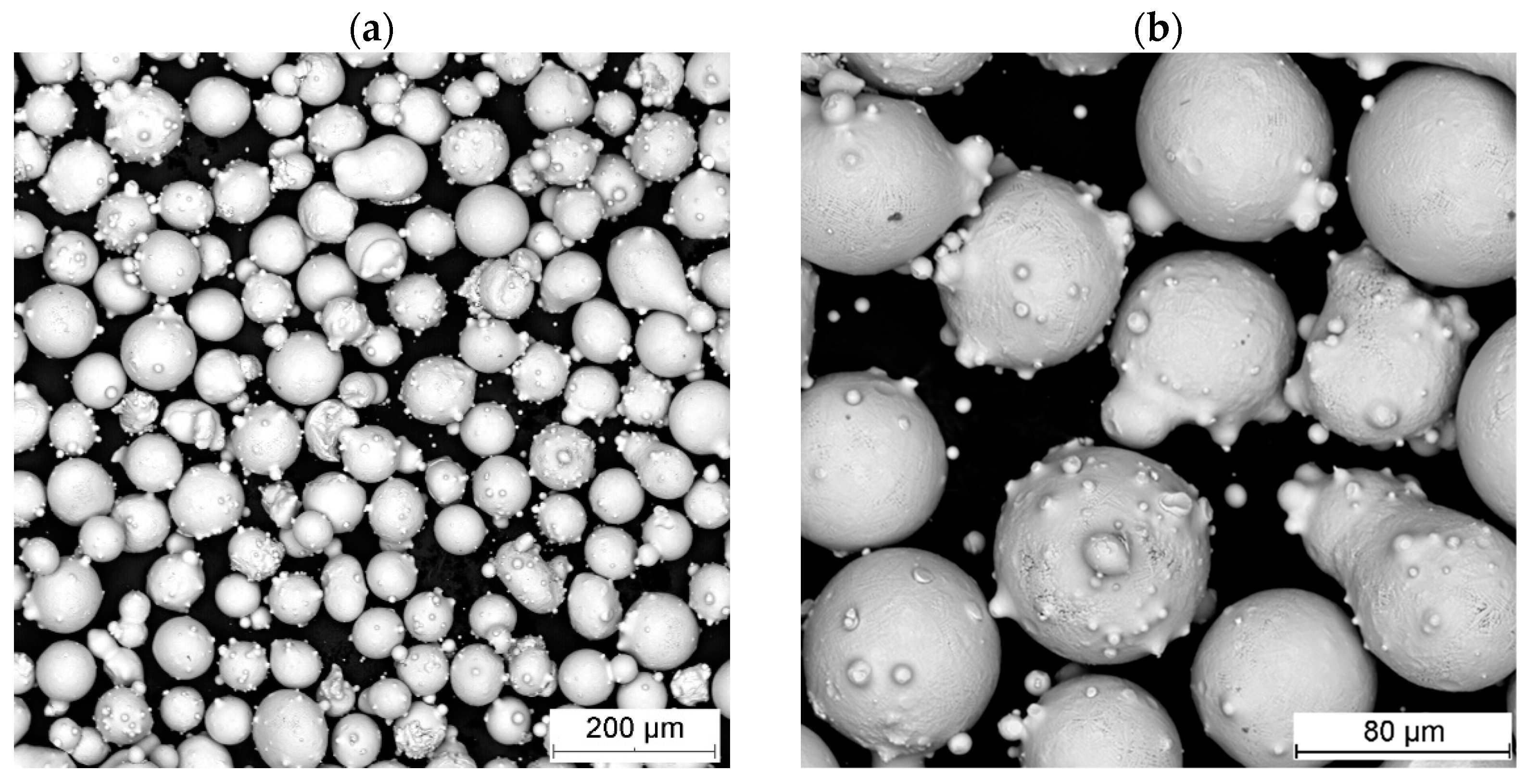 Materials 18 01814 g001 Materials 18 01814 g001