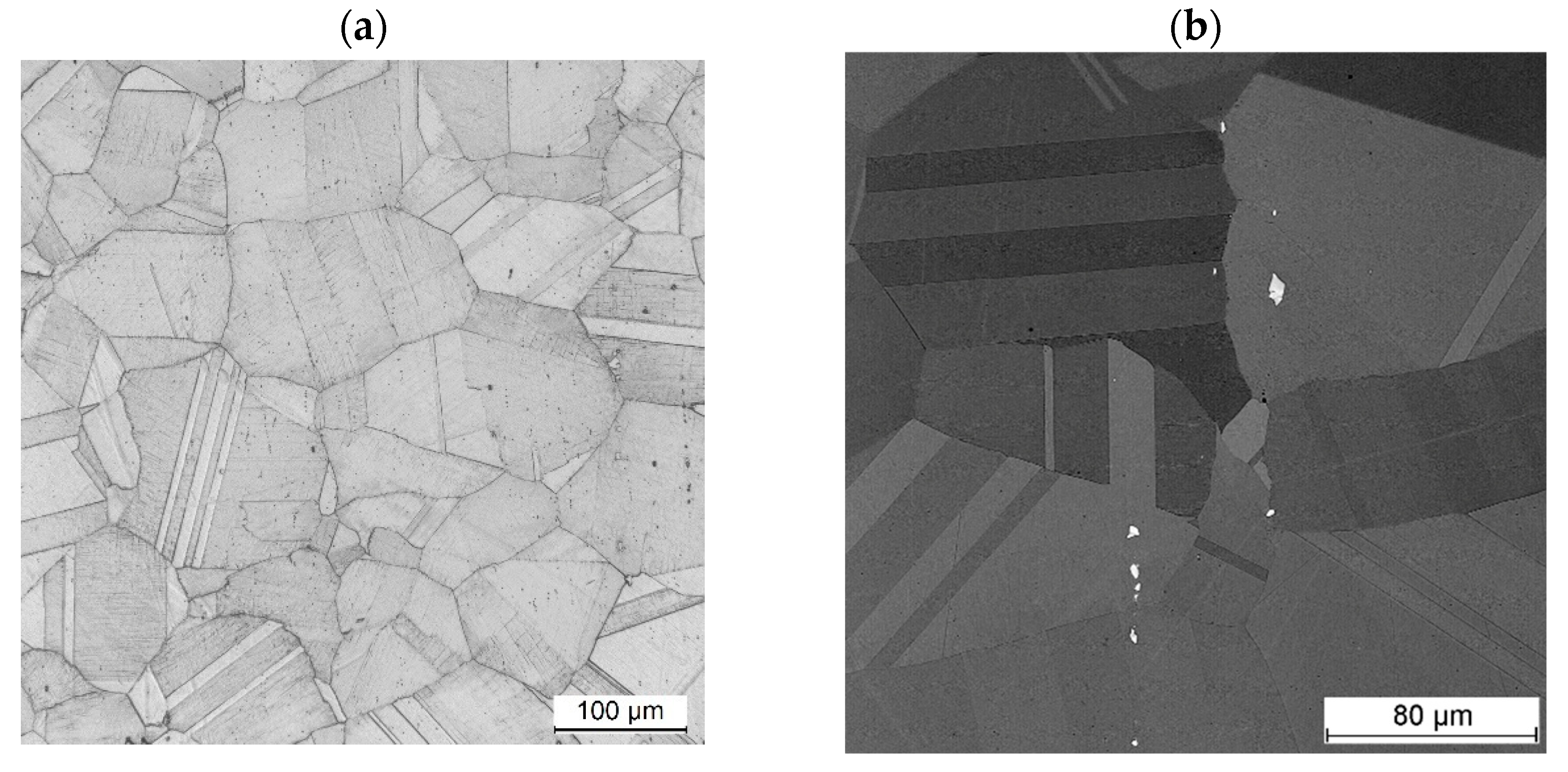 Materials 18 01814 g011 Materials 18 01814 g011