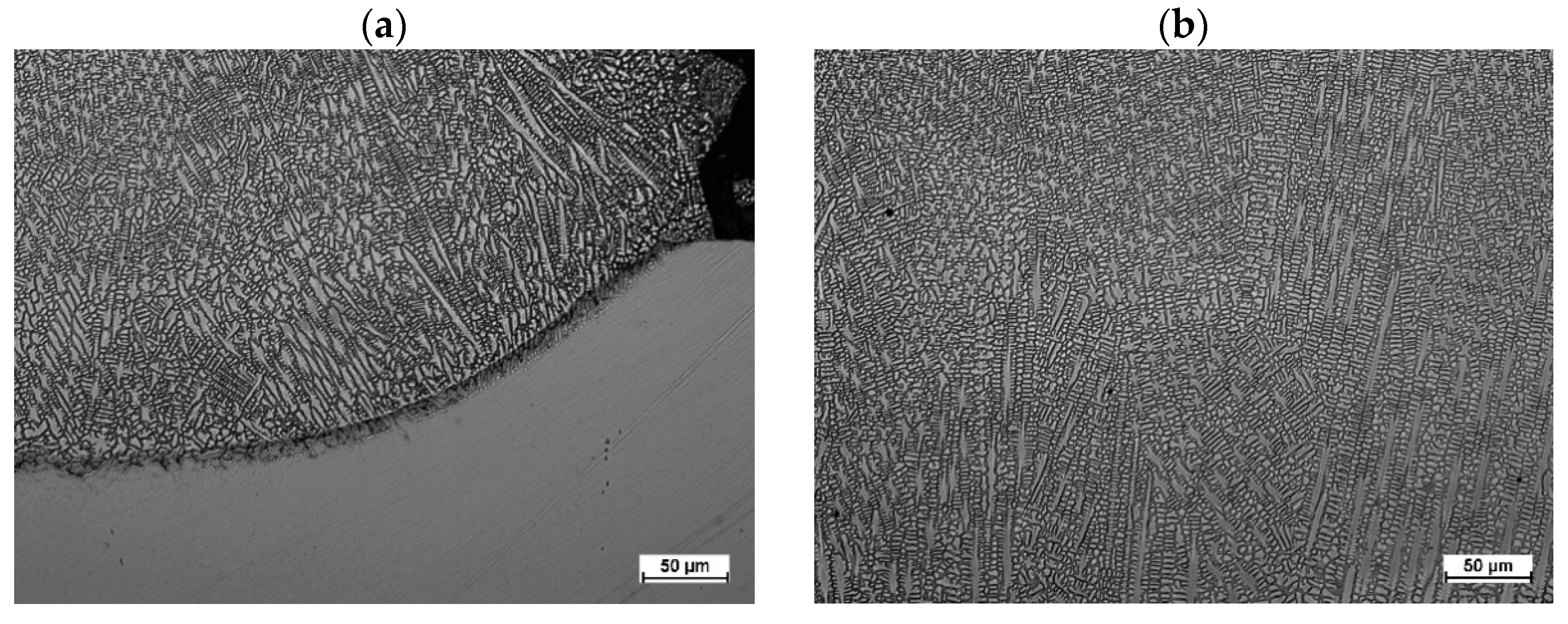 Materials 18 01814 g012 Materials 18 01814 g012
