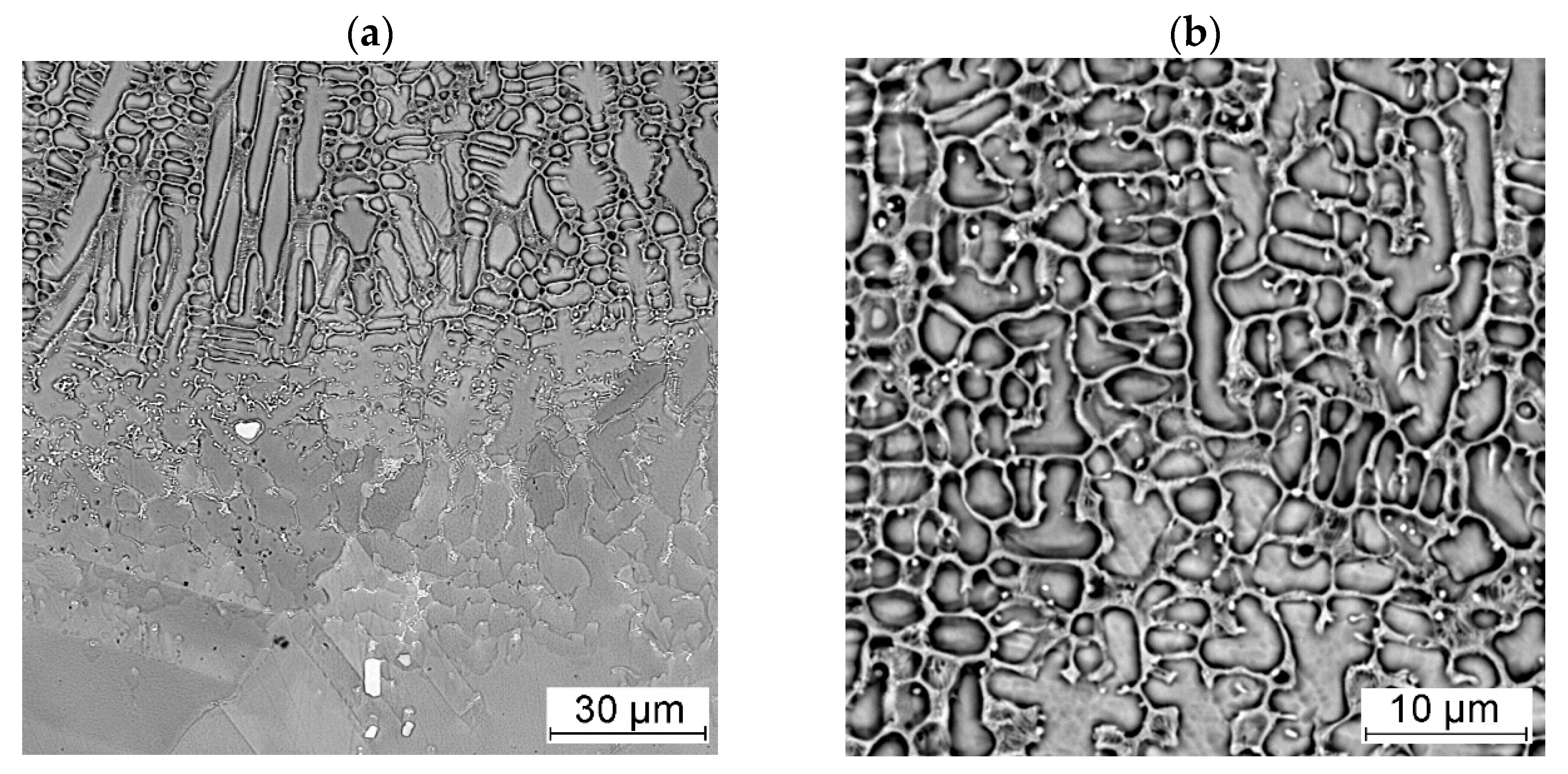Materials 18 01814 g013 Materials 18 01814 g013