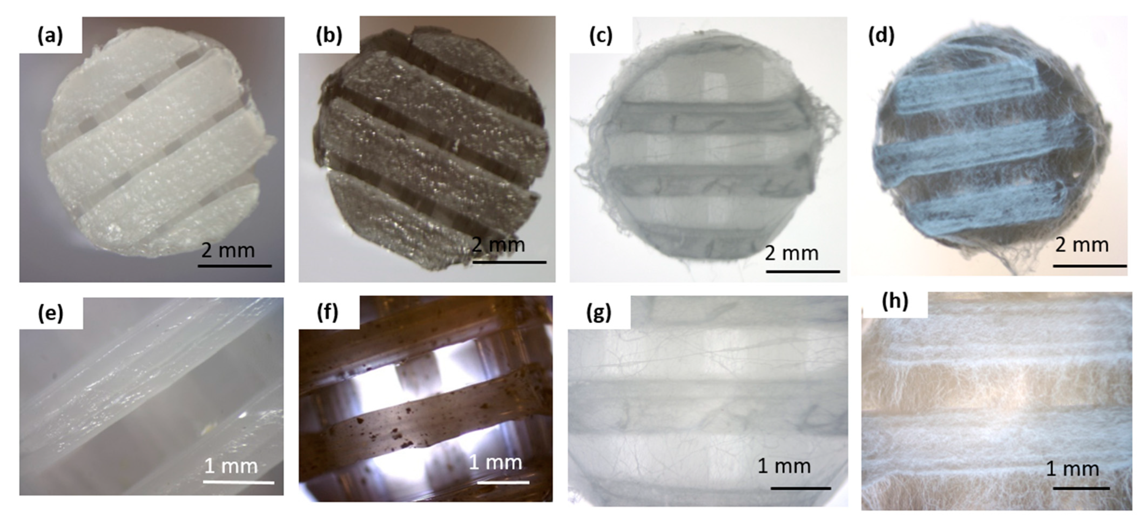 Materials 18 01826 g001