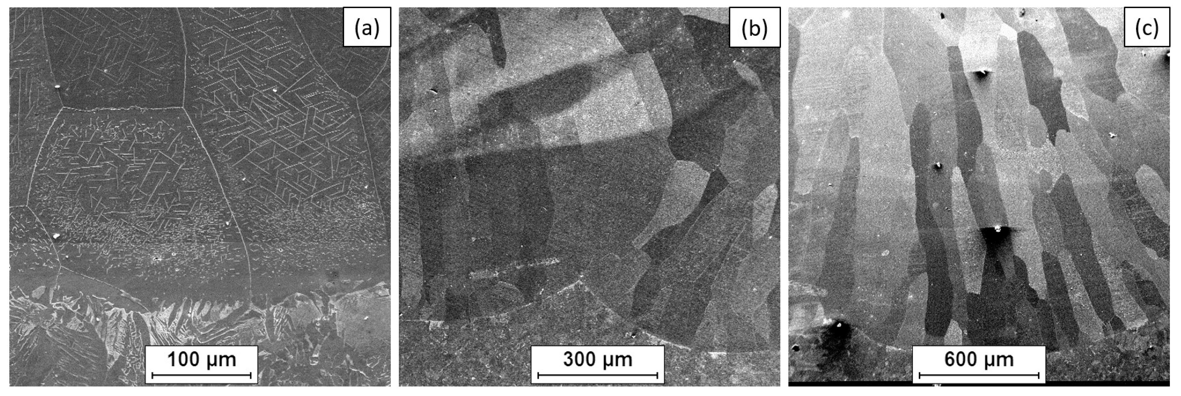 Materials 18 01835 g010 Materials 18 01835 g010