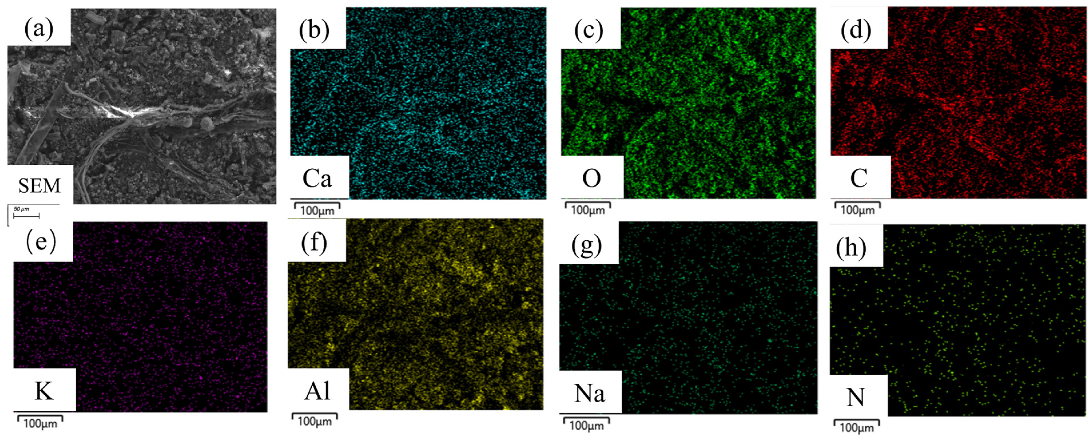 Materials 18 01843 g004 Materials 18 01843 g004