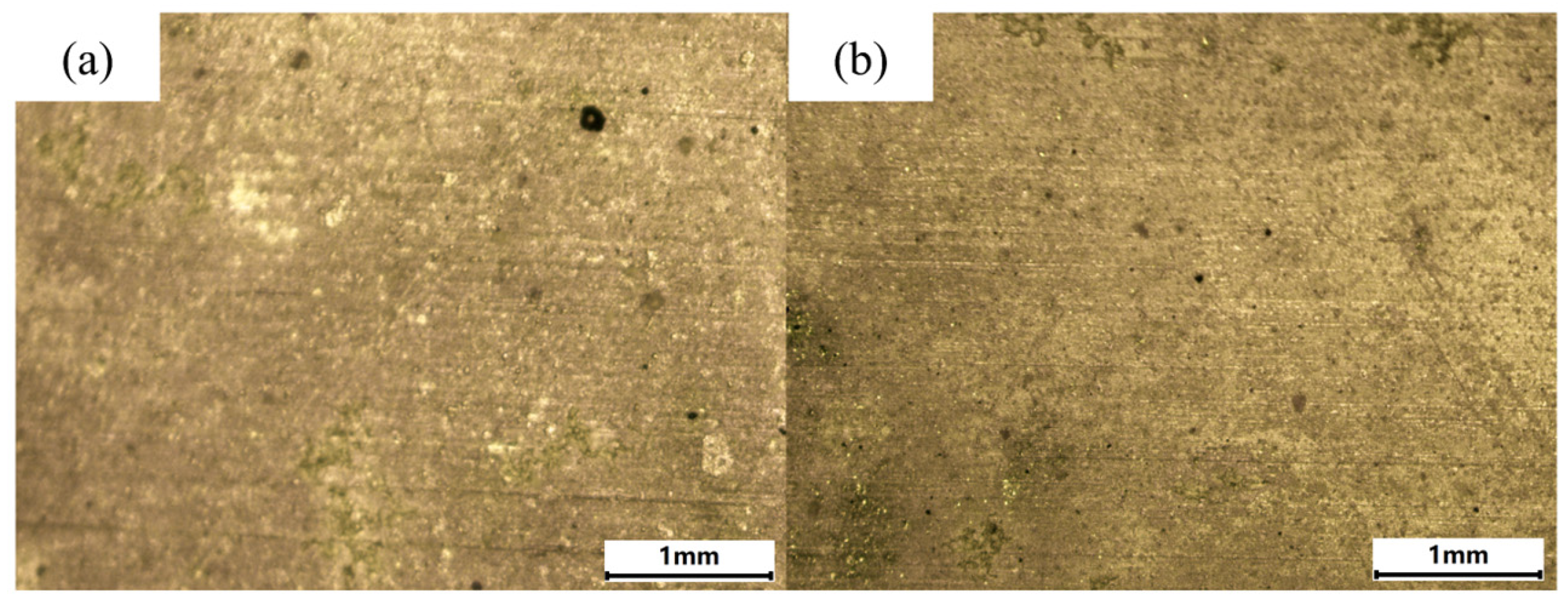 Materials 18 01843 g016 Materials 18 01843 g016
