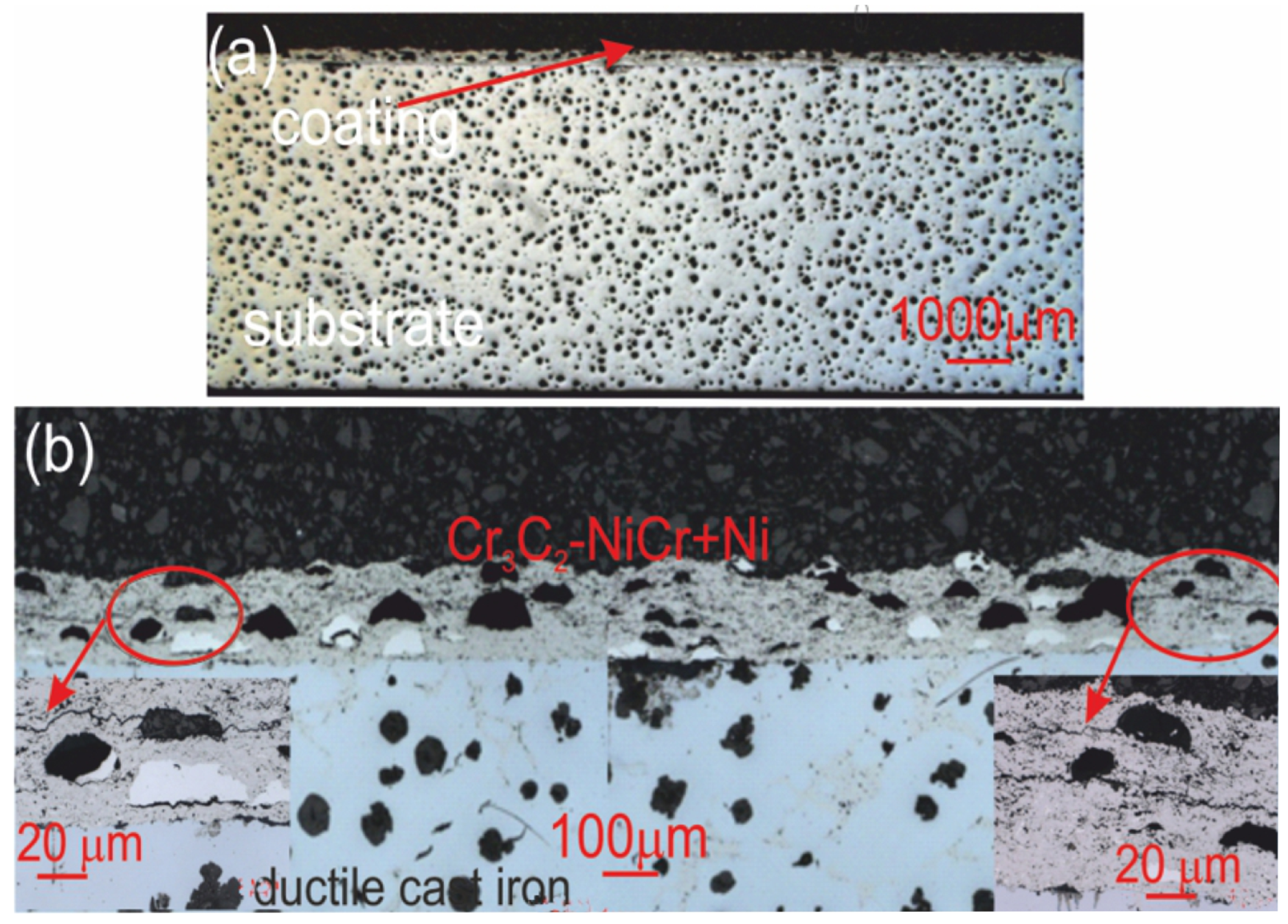 Materials 18 01856 g010