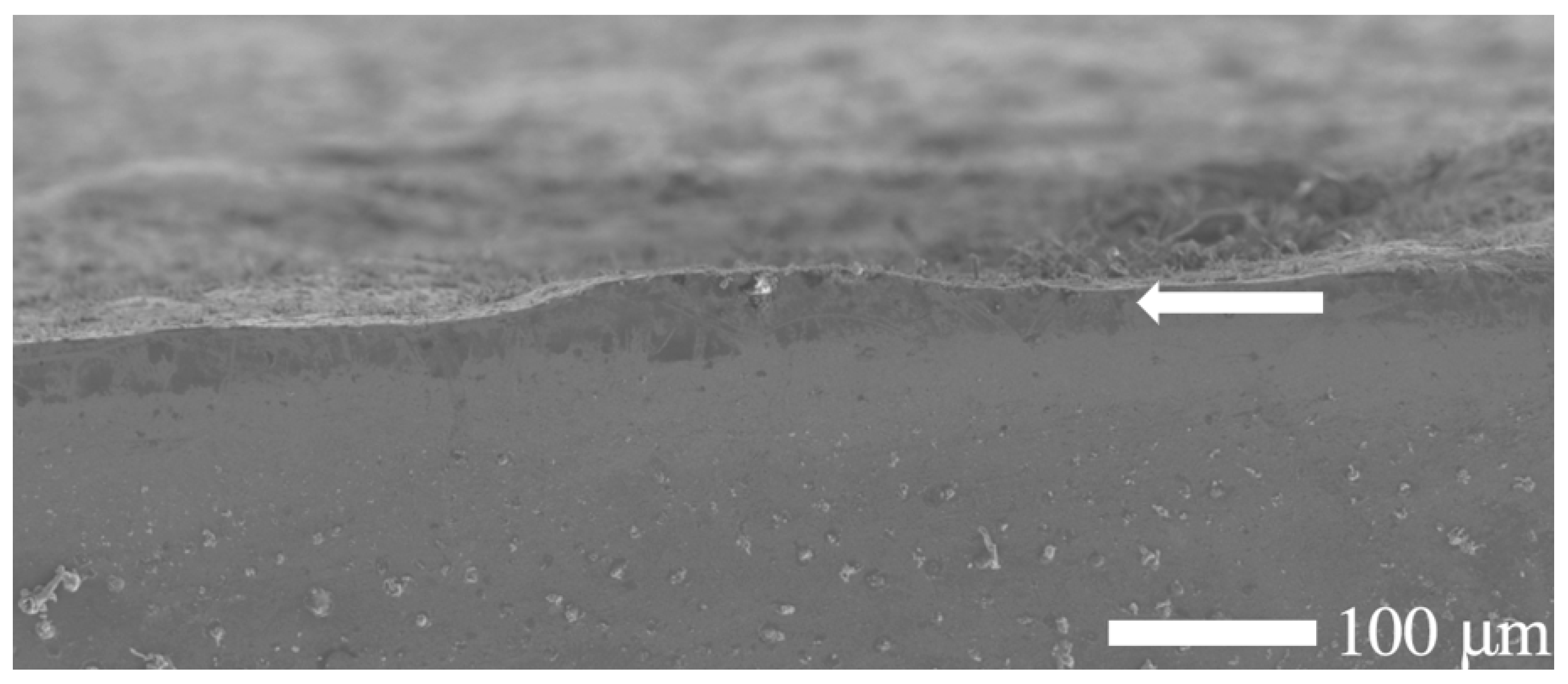 Materials 18 01857 g003