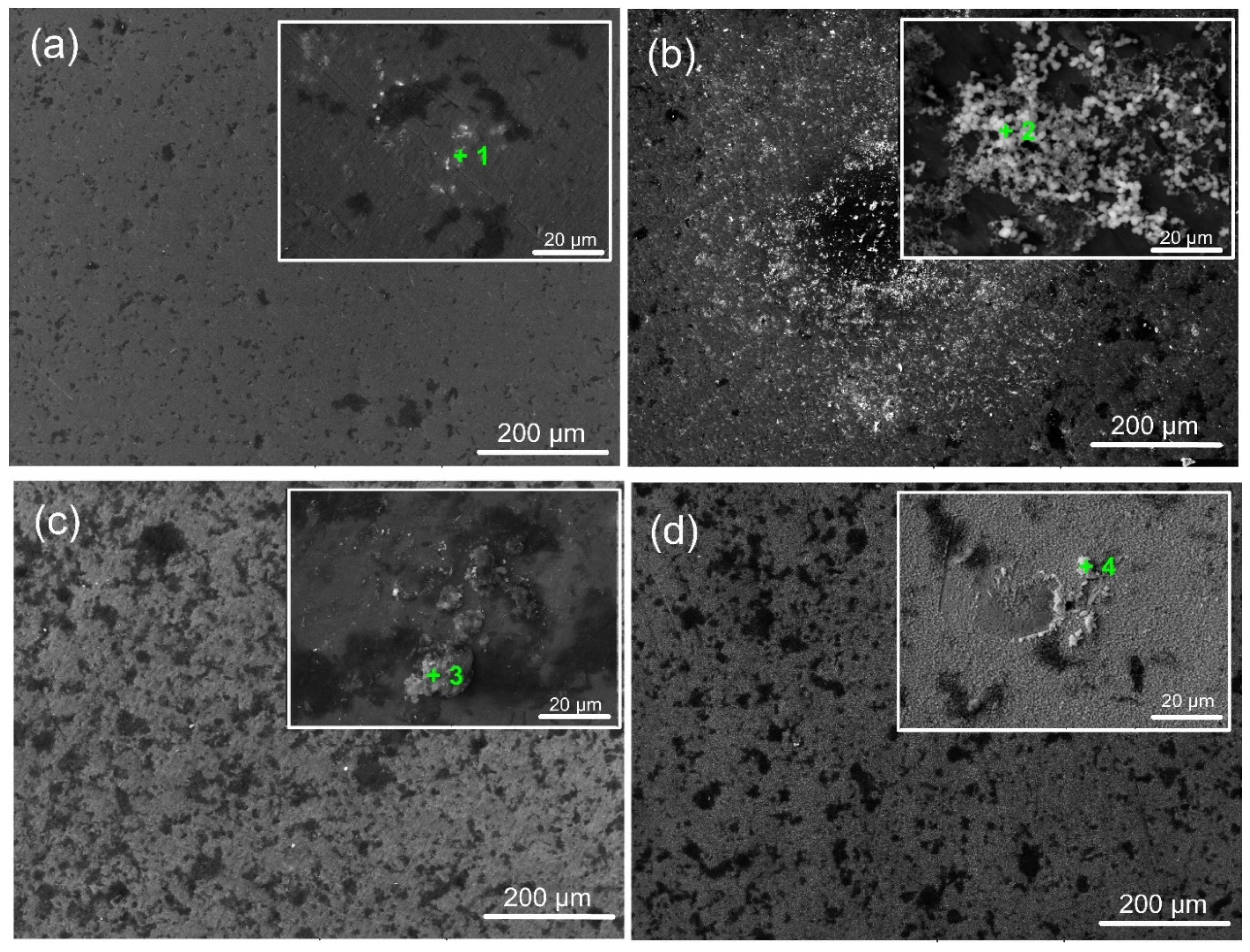 Materials 18 01895 g011