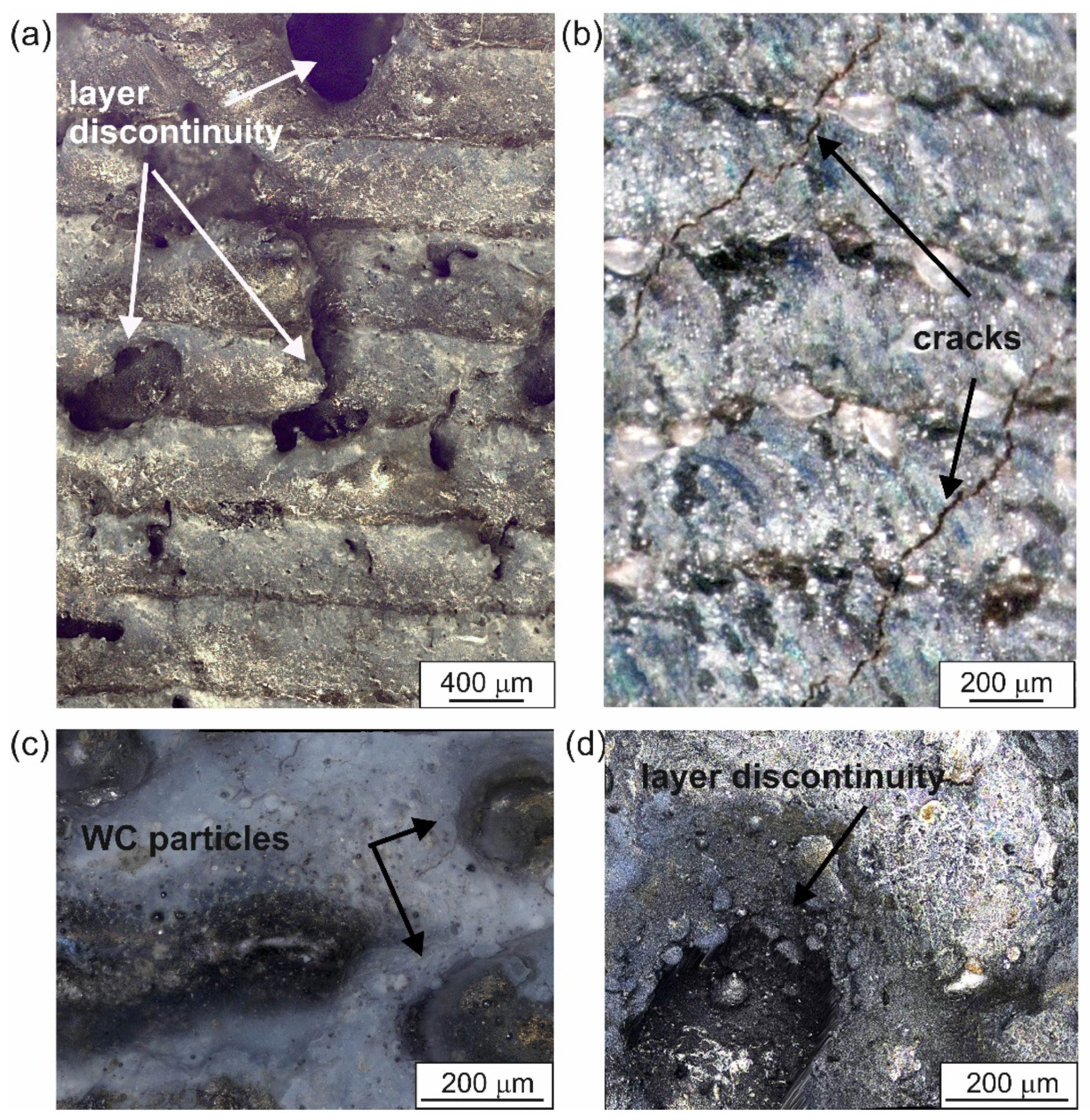 Materials 18 01899 g004