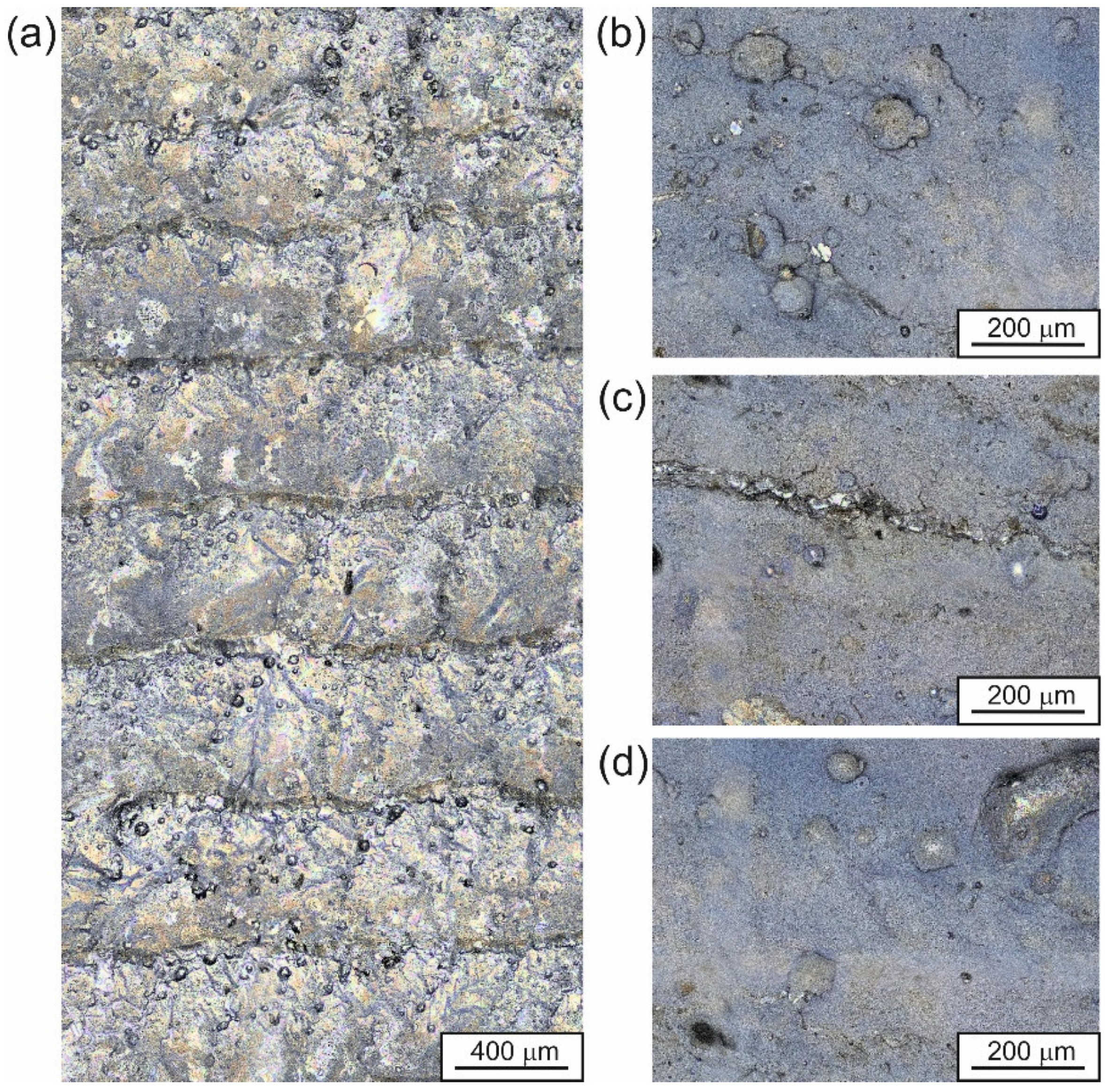 Materials 18 01899 g006