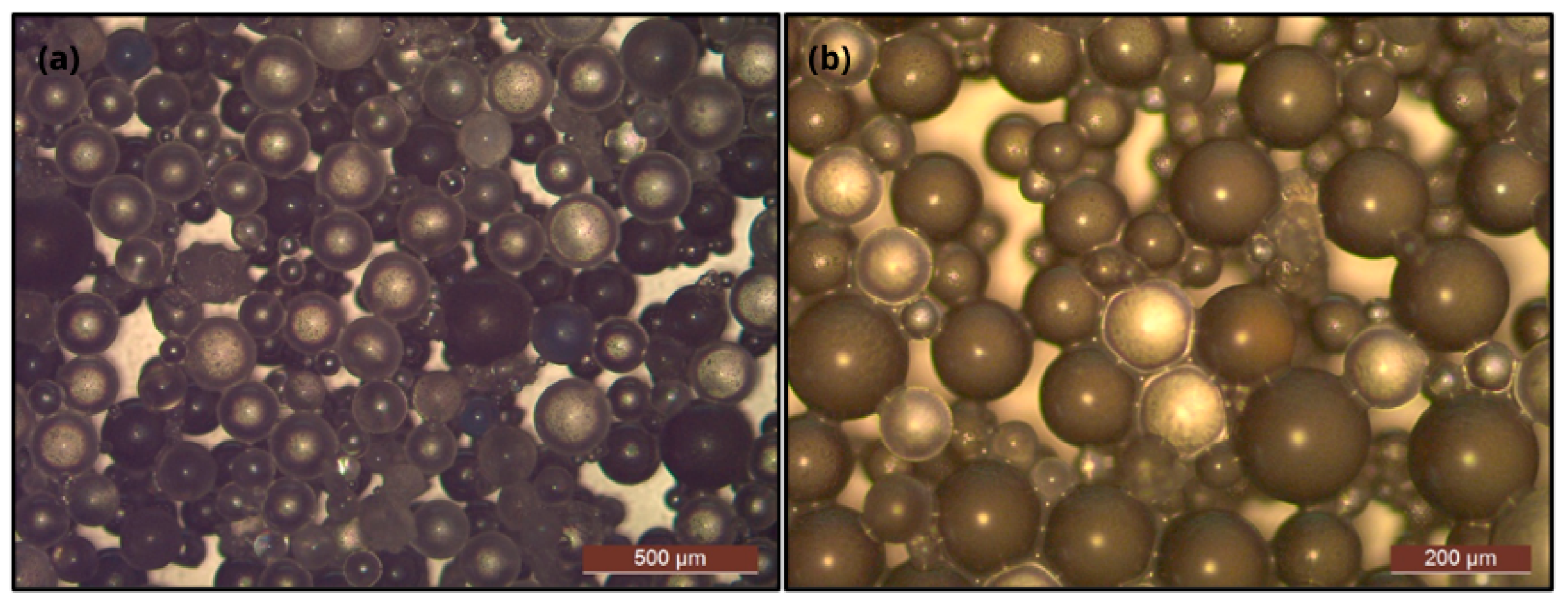 Materials 18 01906 g004 Materials 18 01906 g004