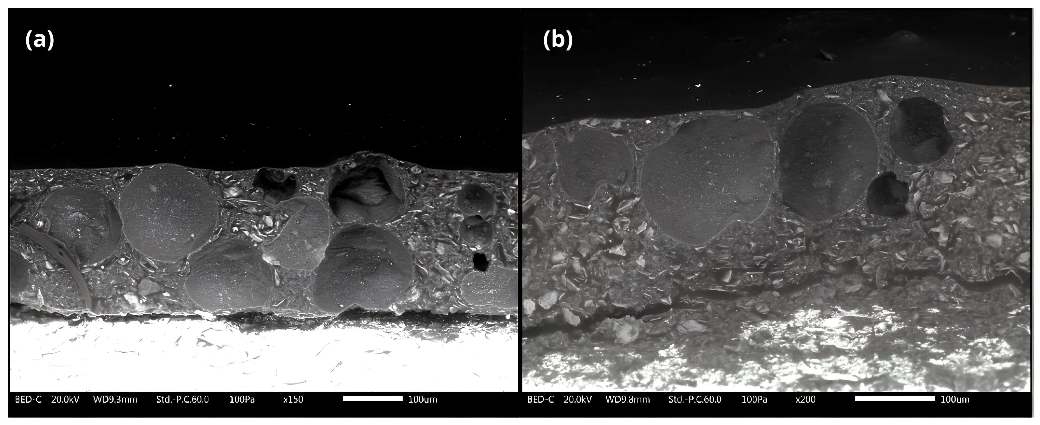 Materials 18 01906 g007 Materials 18 01906 g007