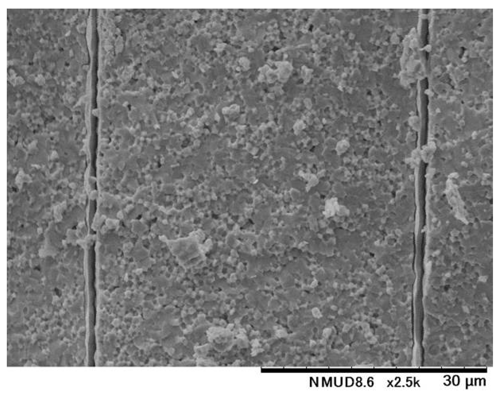 Materials 18 01924 g0a1