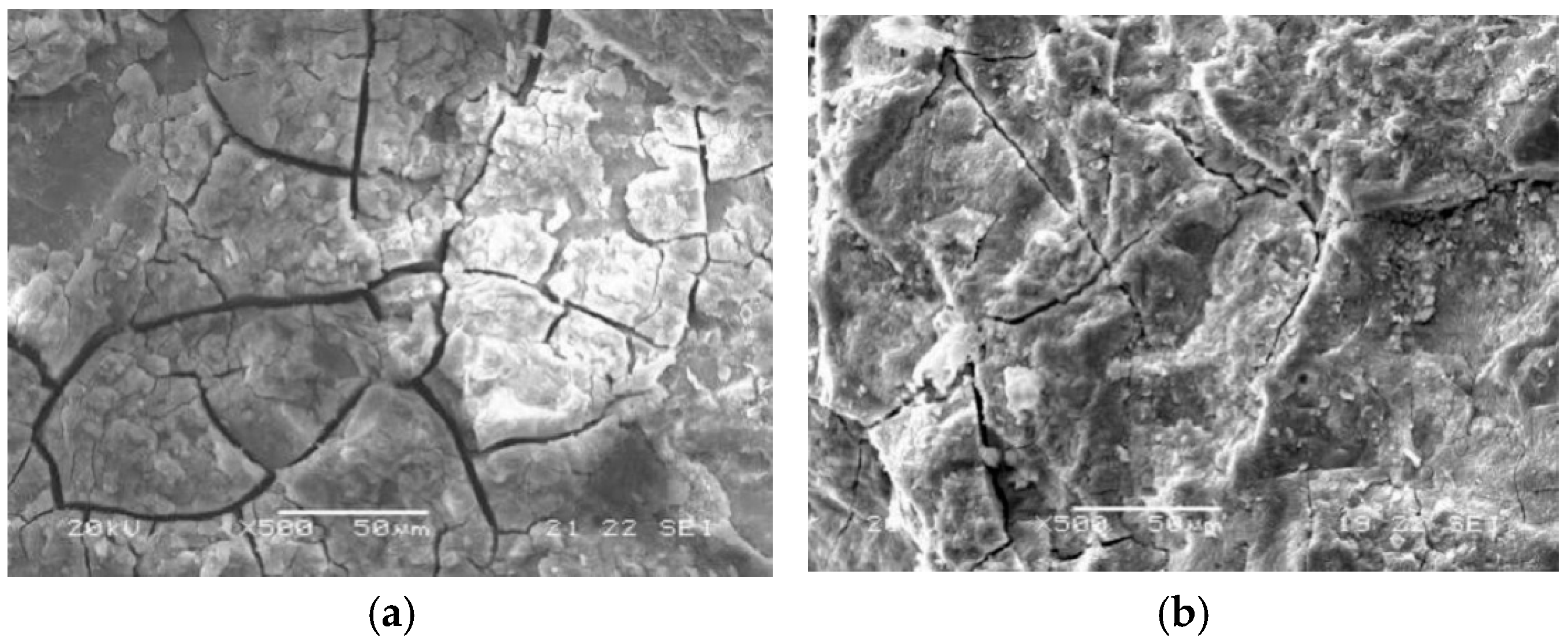 Materials 18 01931 g012