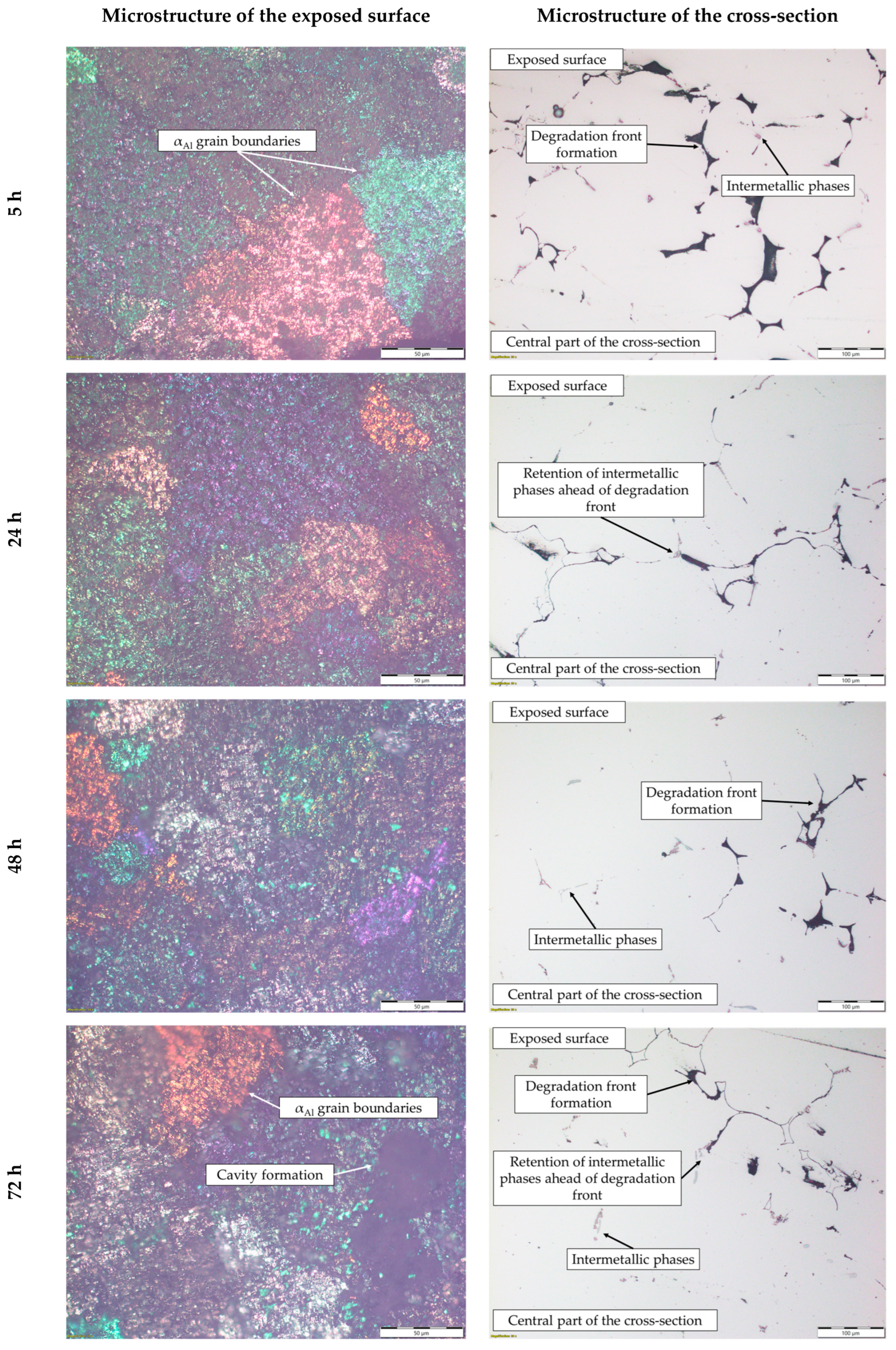 Materials 18 01938 g010 Materials 18 01938 g010