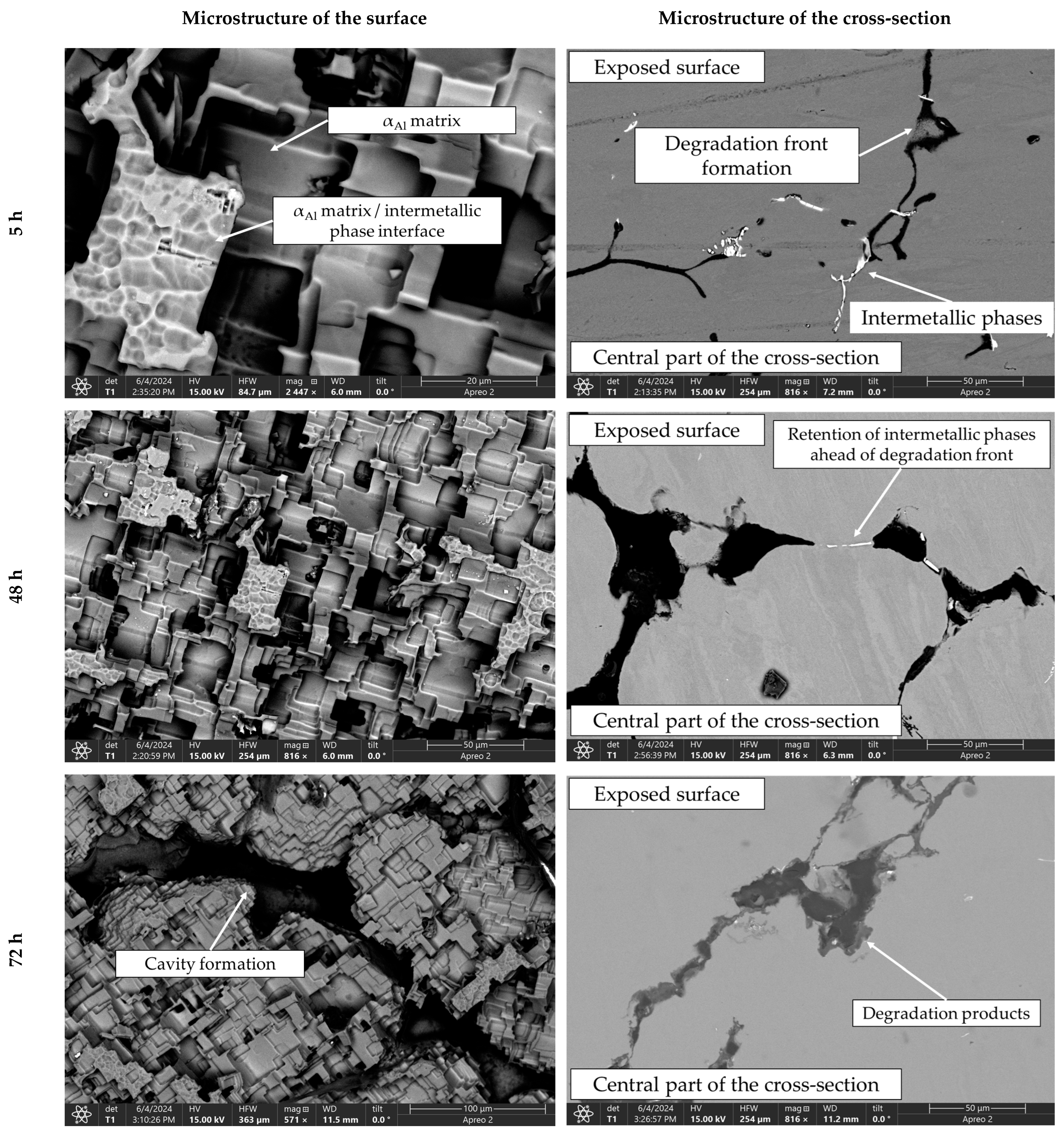 Materials 18 01938 g011 Materials 18 01938 g011