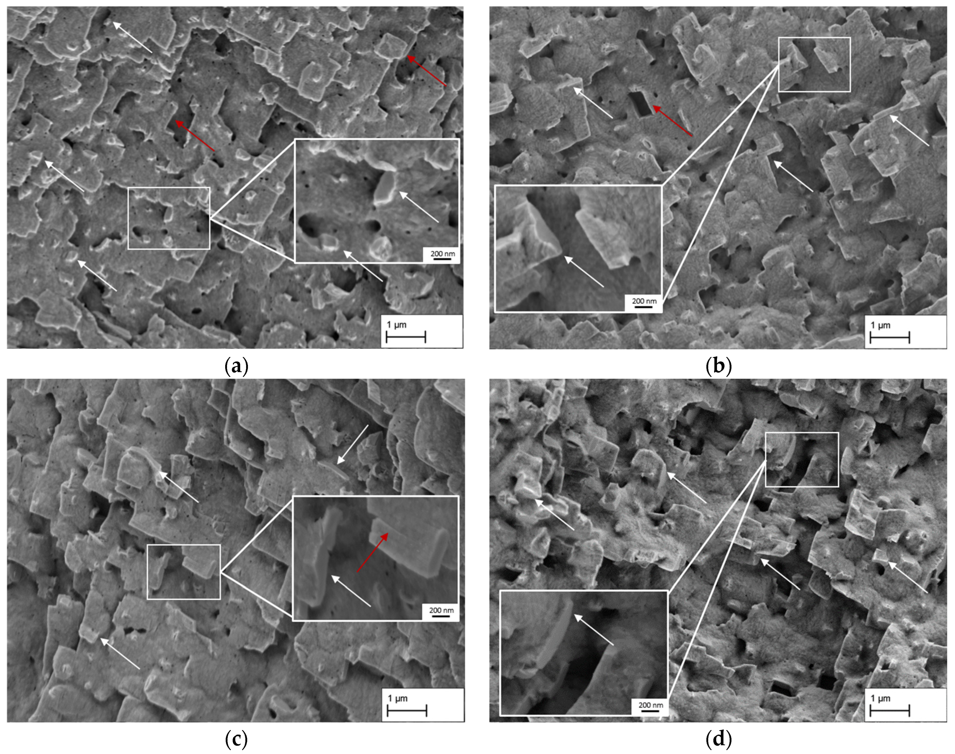 Materials 18 01961 g006