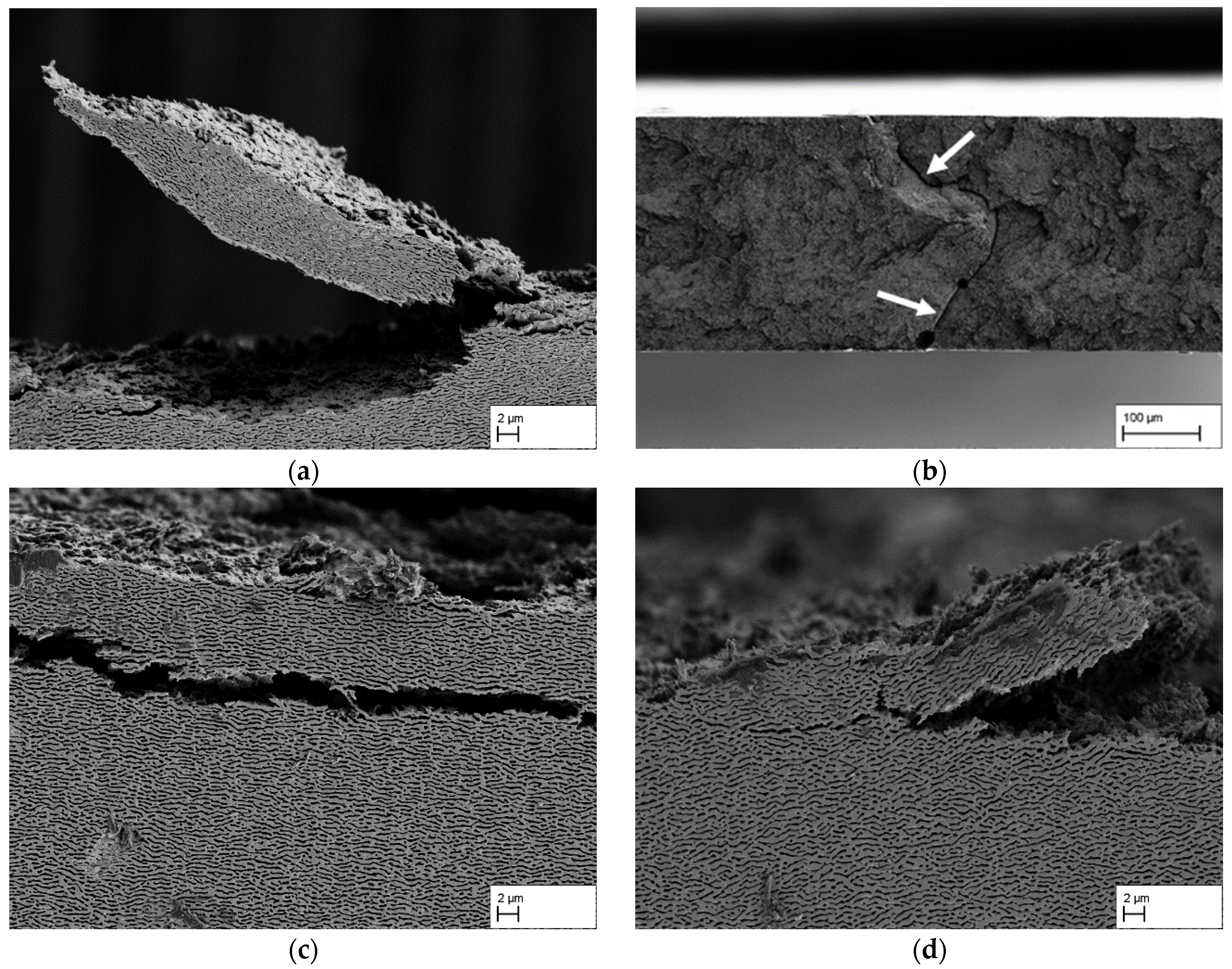 Materials 18 01961 g007