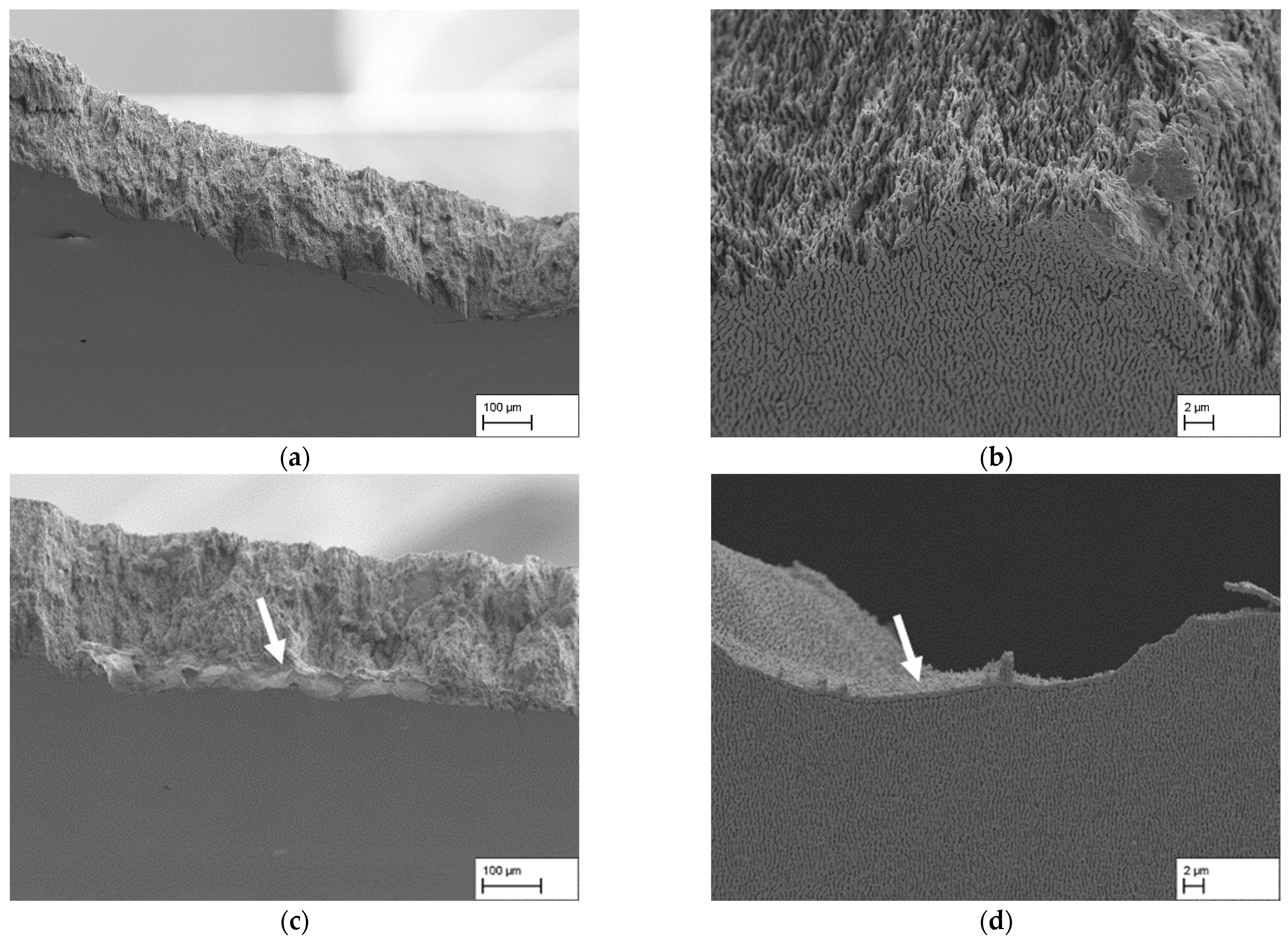 Materials 18 01961 g009