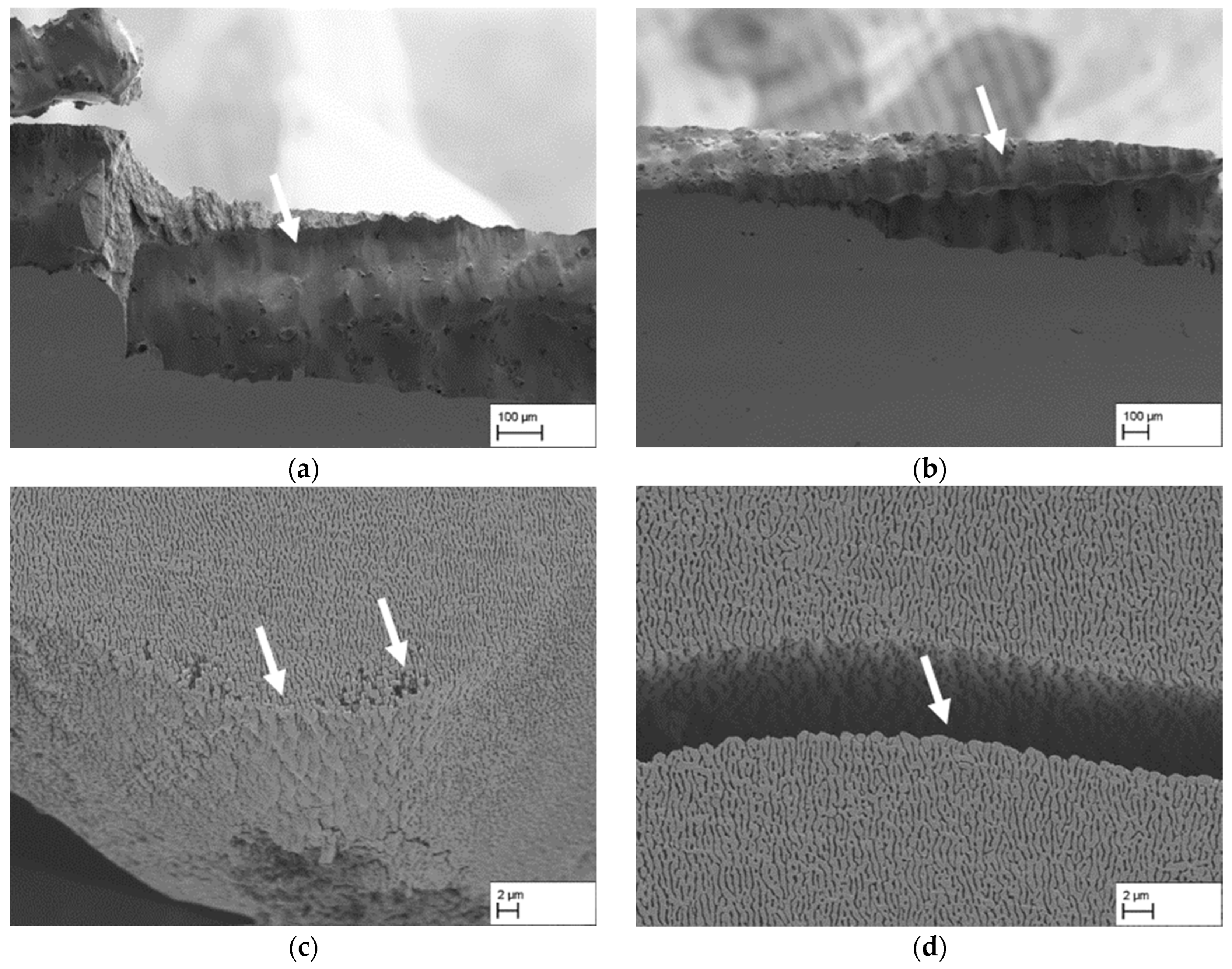 Materials 18 01961 g010